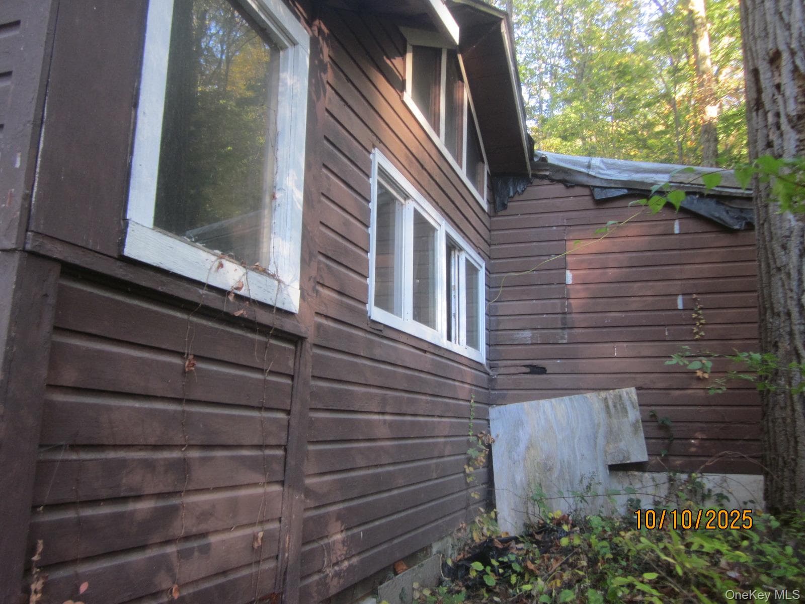11 Woodland Circle thumbnail 16