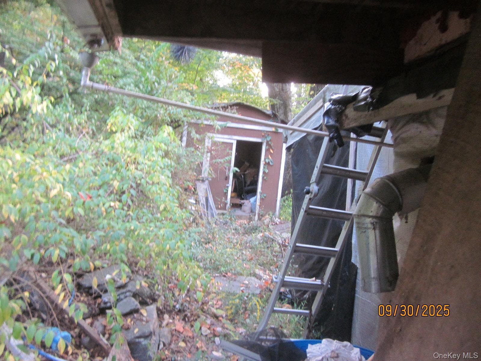11 Woodland Circle thumbnail 22