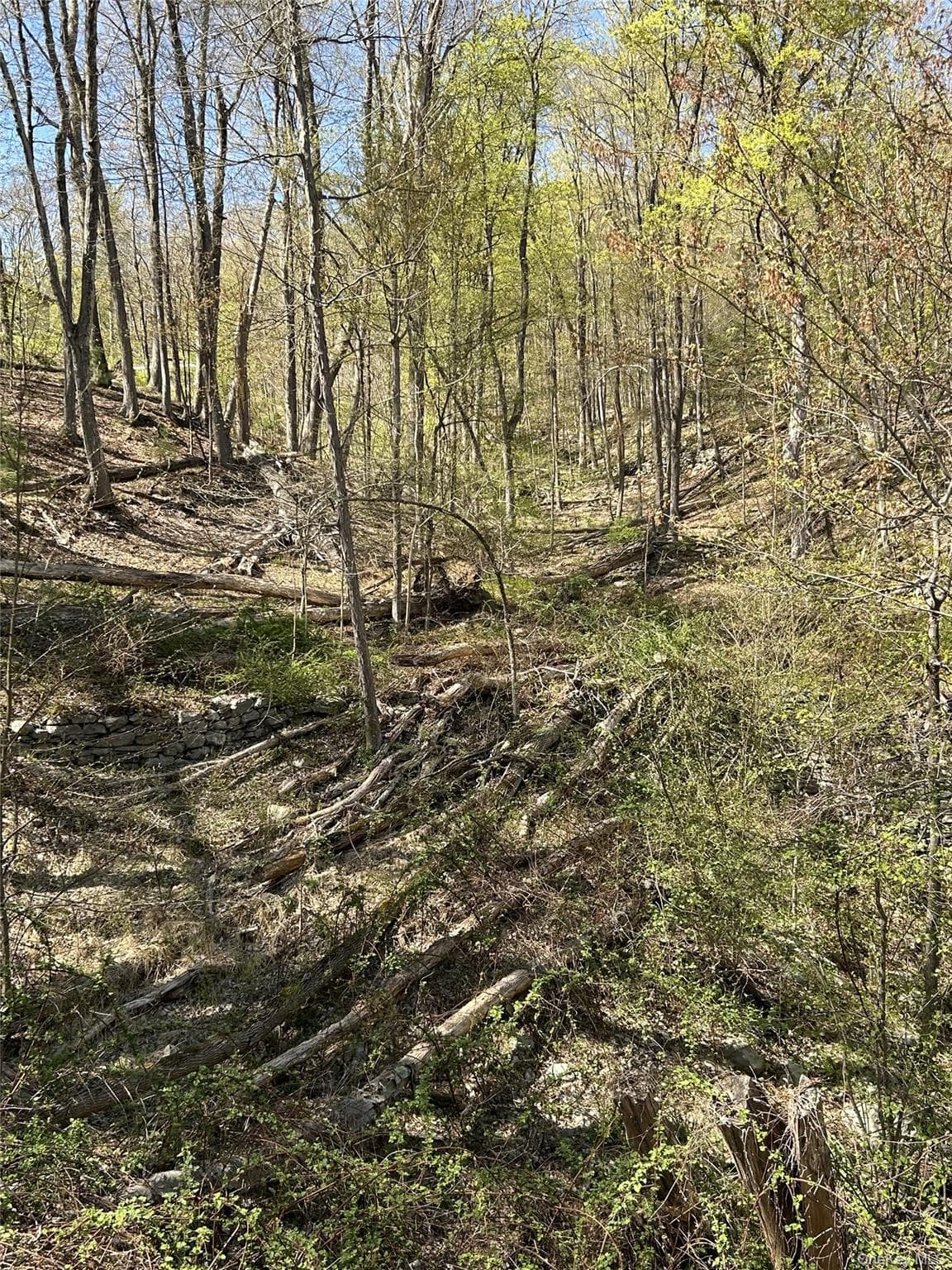 14 Hawk Mountain Drive thumbnail 18