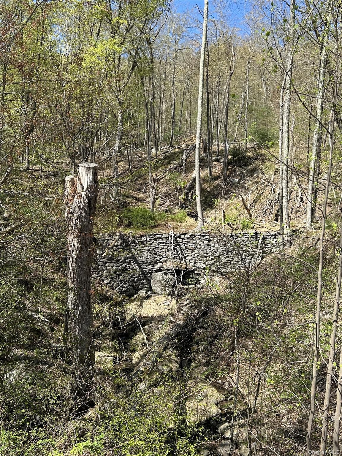 14 Hawk Mountain Drive thumbnail 15