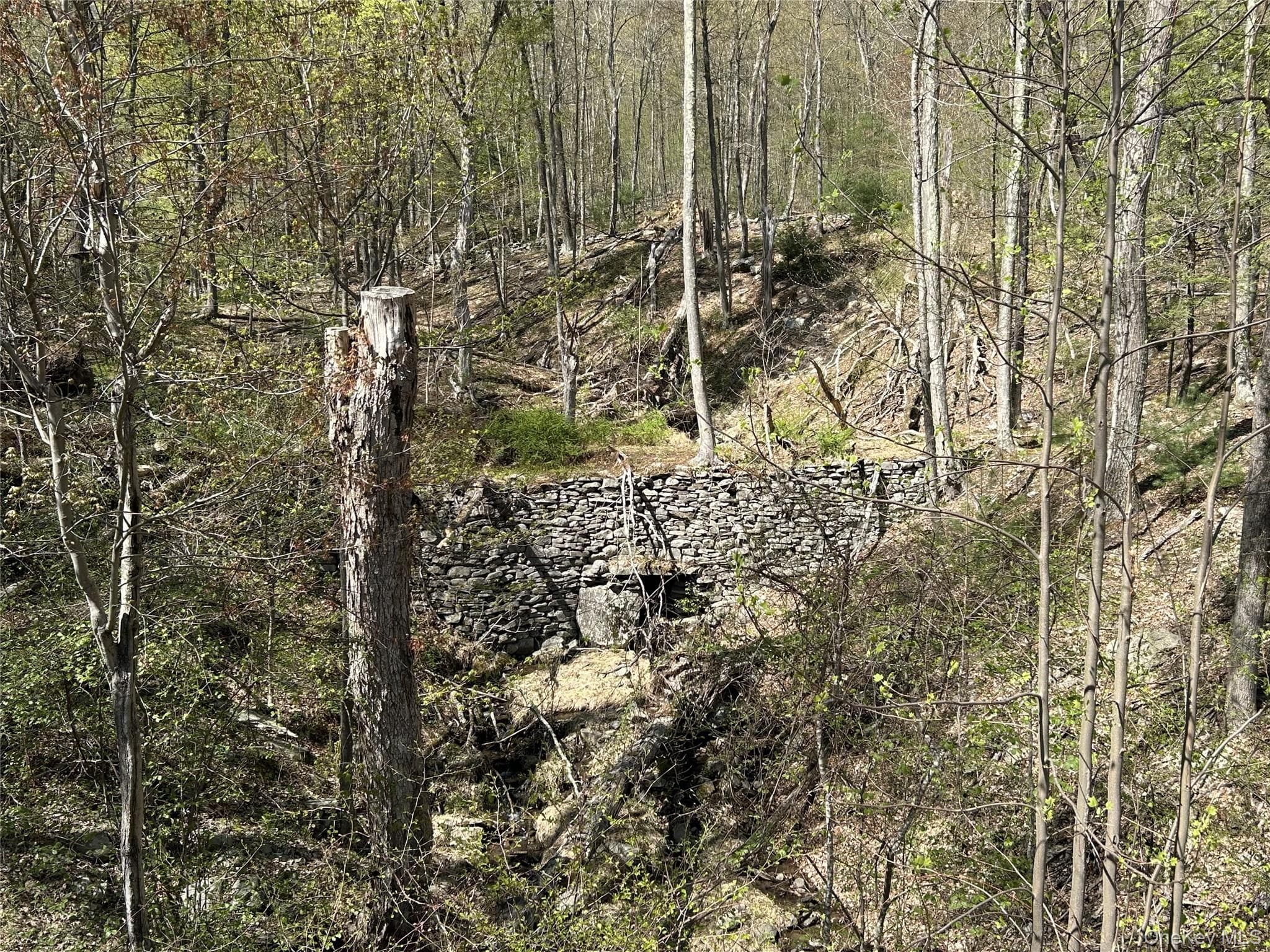 14 Hawk Mountain Drive thumbnail 16