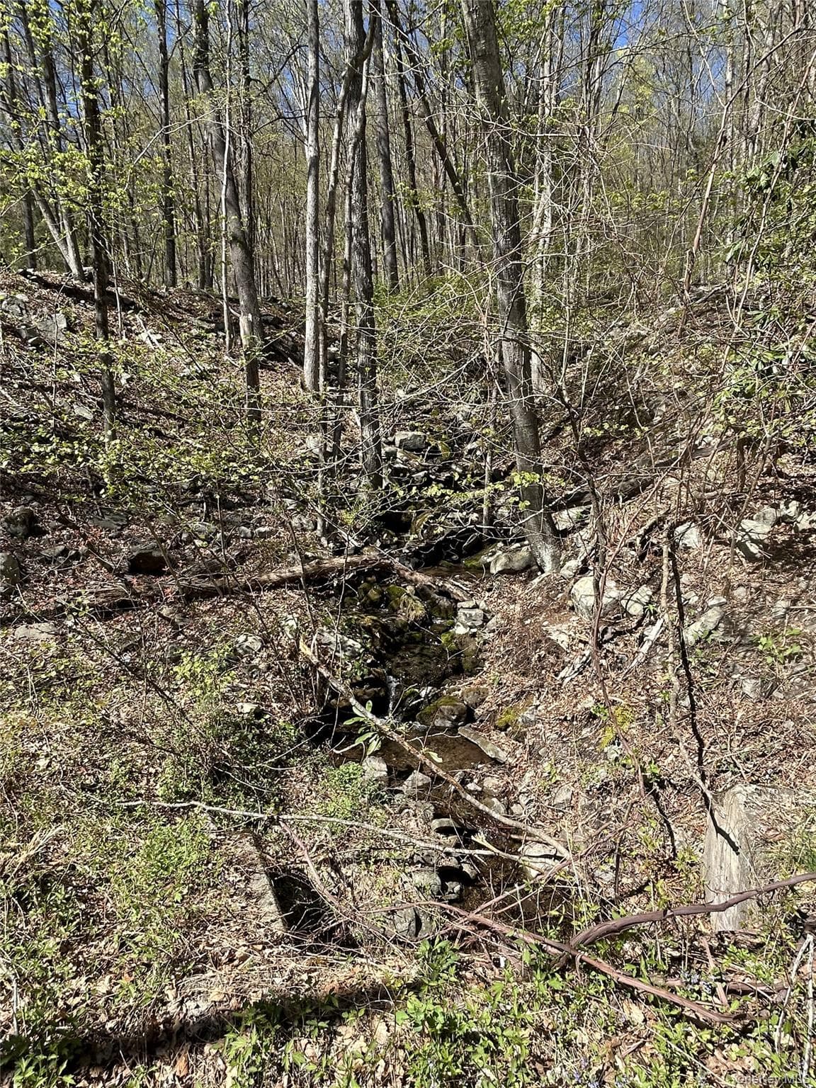 14 Hawk Mountain Drive thumbnail 9