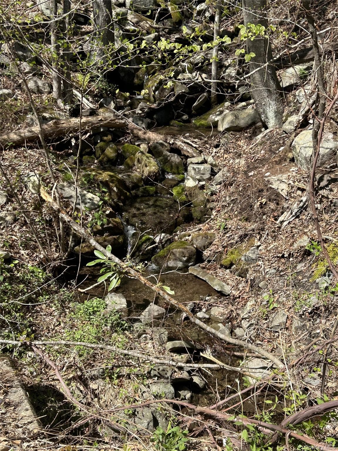 14 Hawk Mountain Drive thumbnail 8