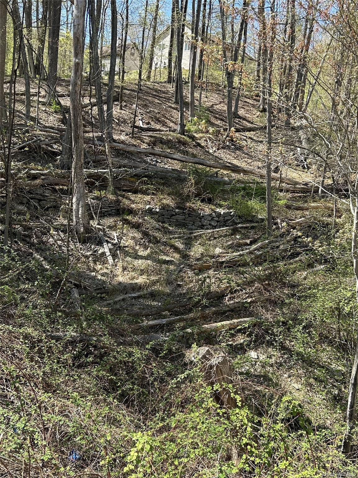 14 Hawk Mountain Drive thumbnail 17