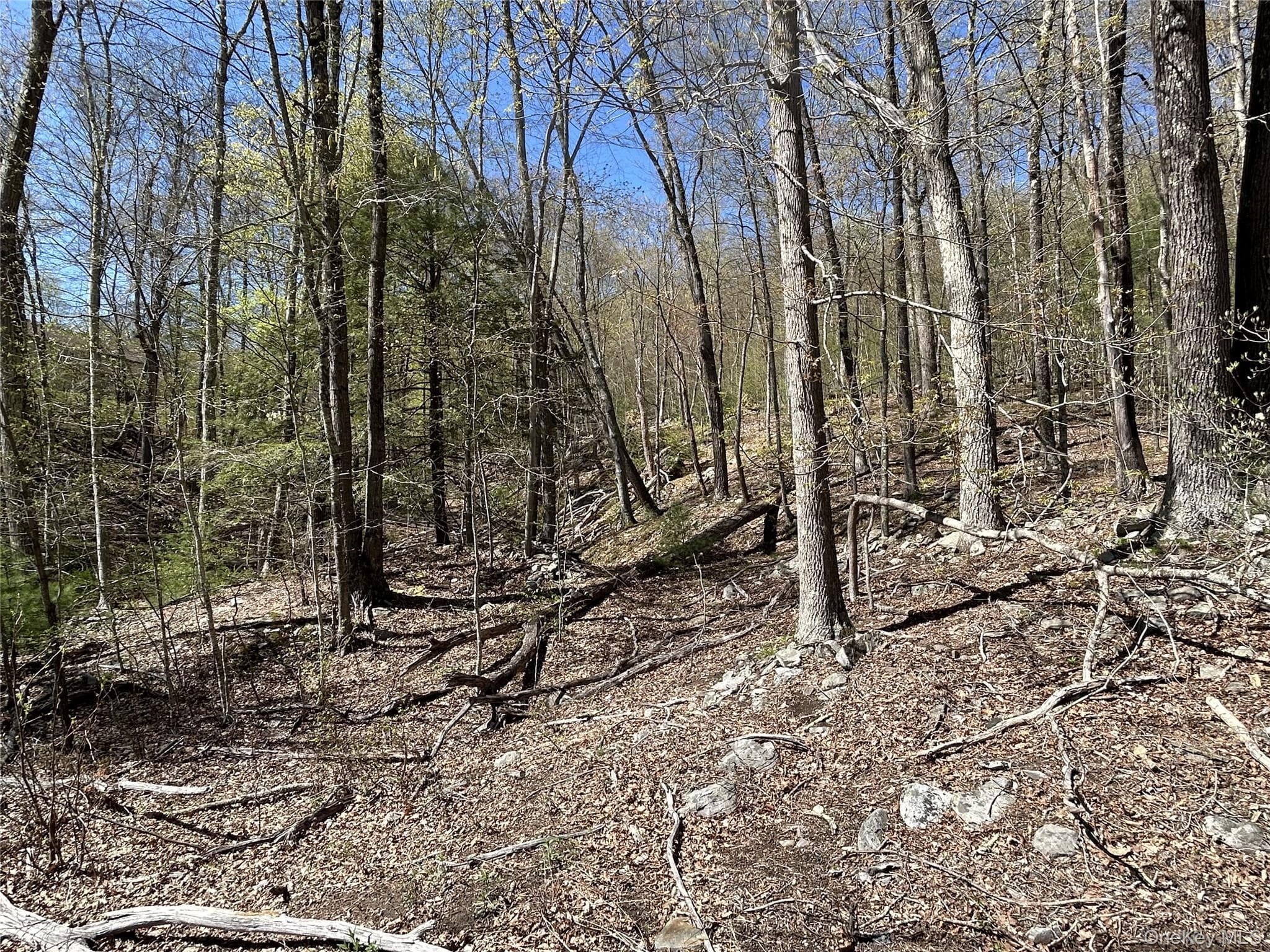 14 Hawk Mountain Drive thumbnail 11
