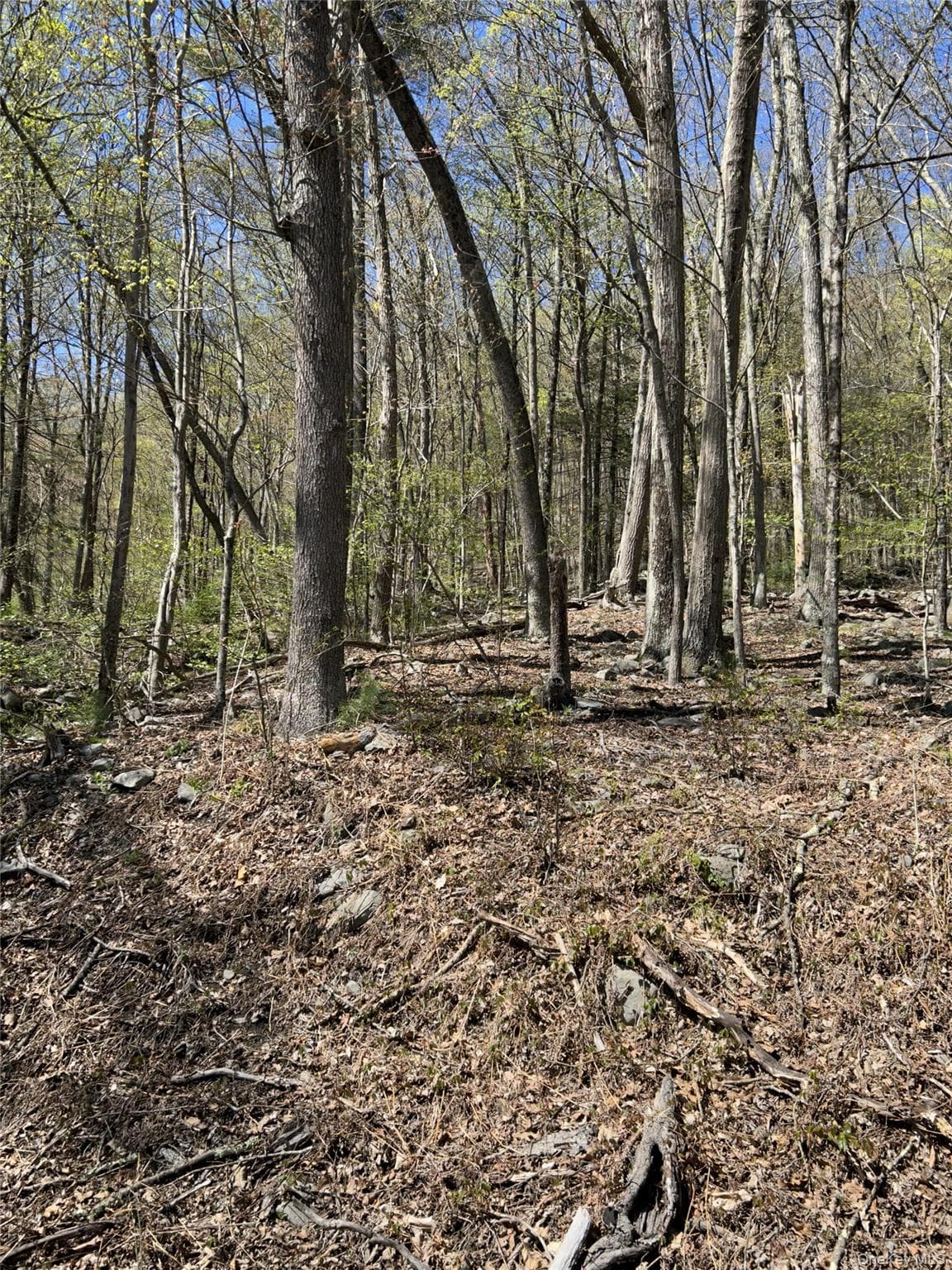 14 Hawk Mountain Drive thumbnail 6