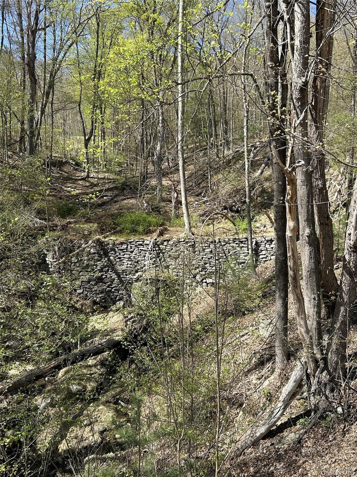 14 Hawk Mountain Drive thumbnail 14