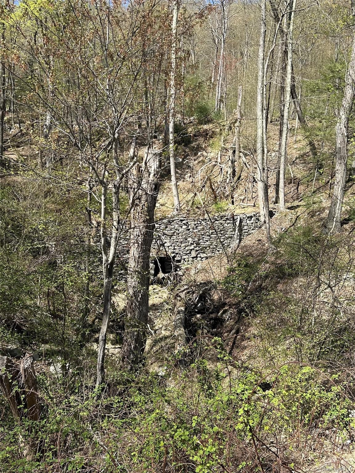 14 Hawk Mountain Drive thumbnail 19