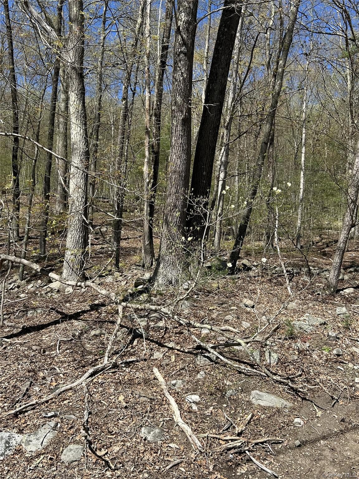 14 Hawk Mountain Drive thumbnail 12