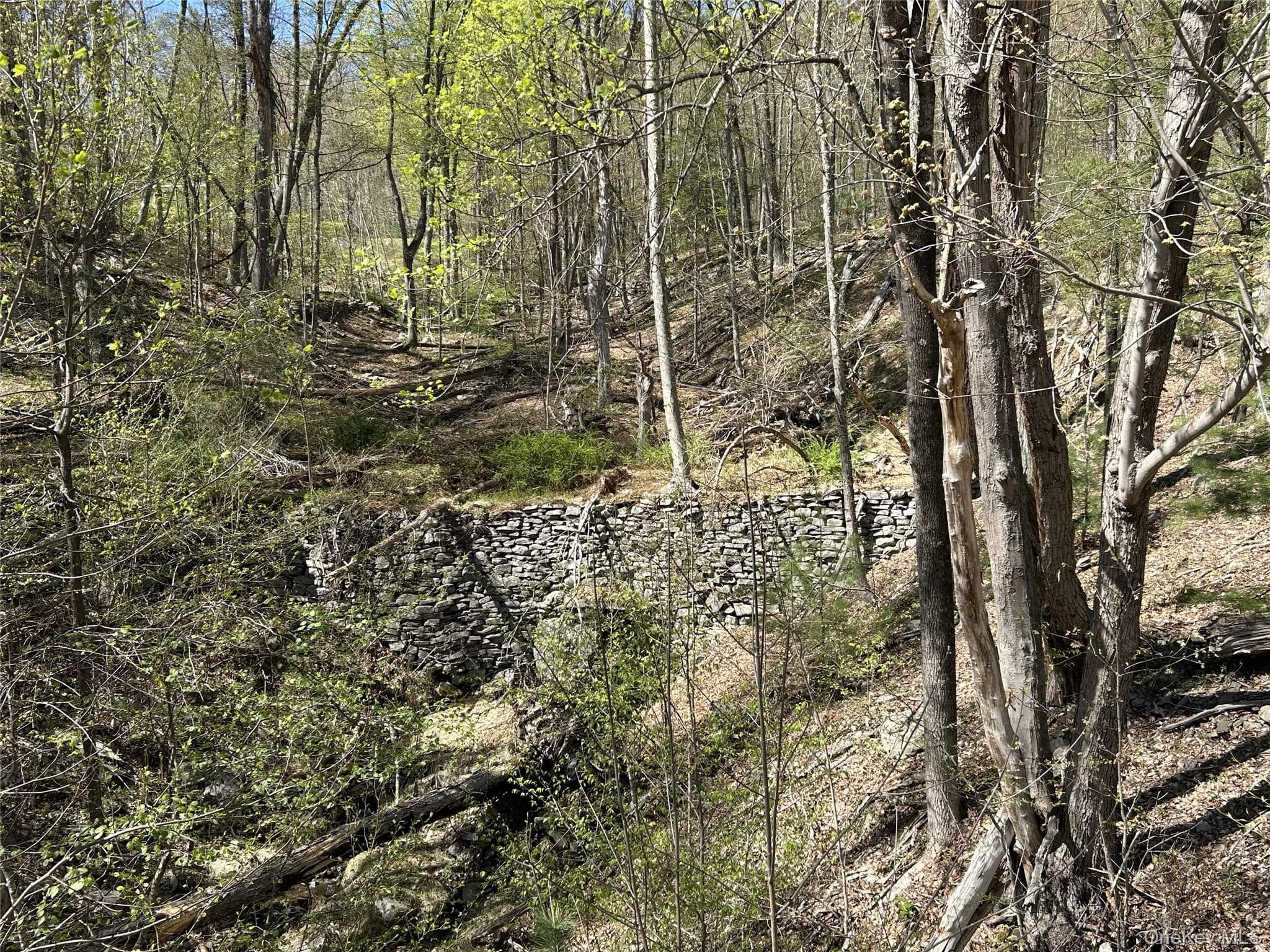 14 Hawk Mountain Drive thumbnail 13
