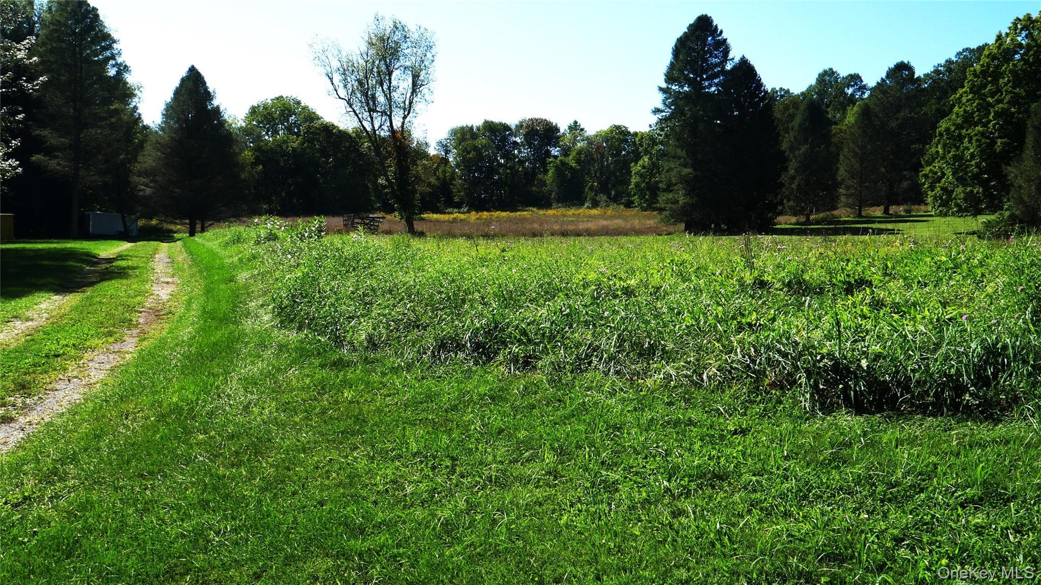 Wheeler Hill Road thumbnail 10
