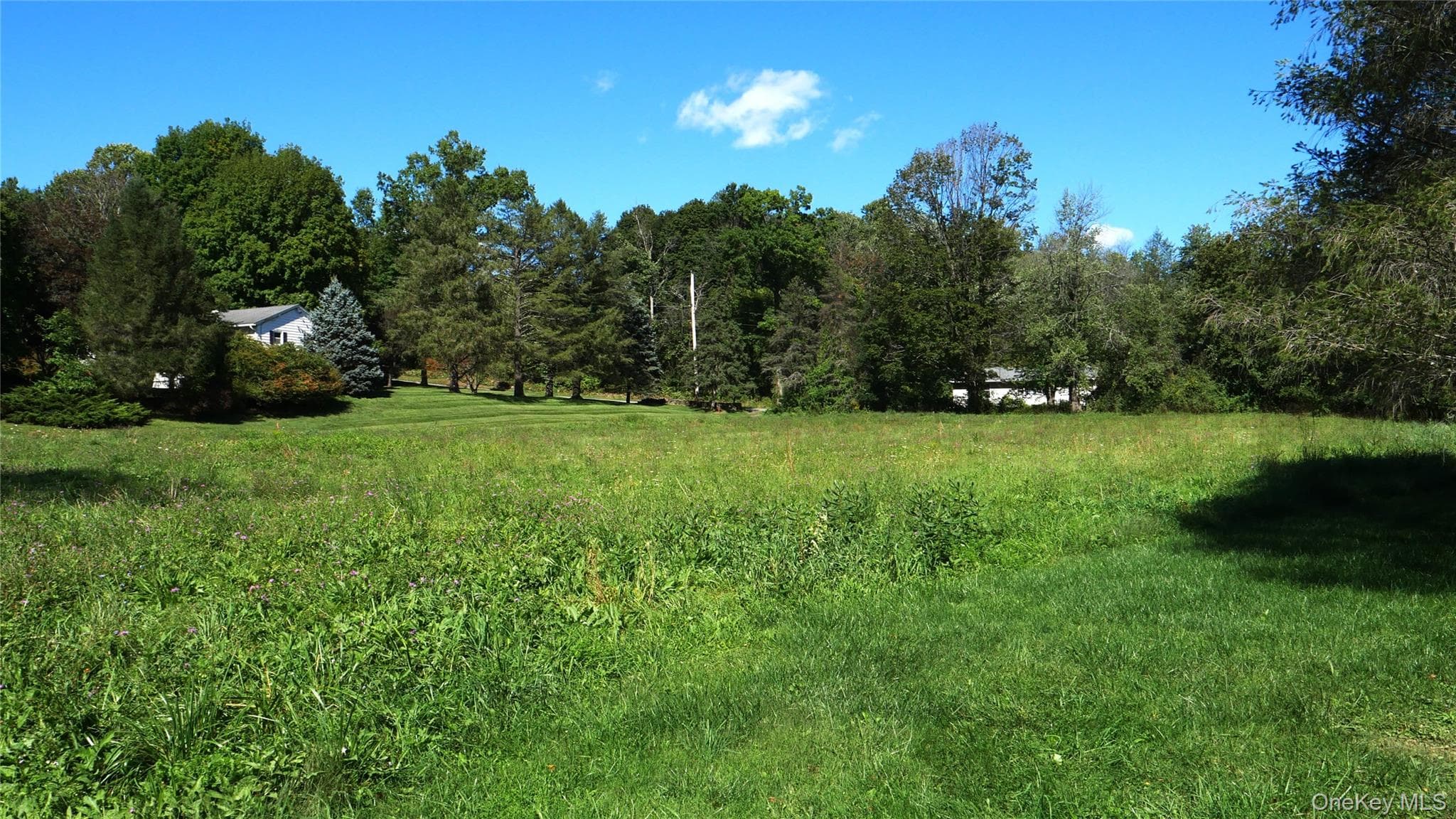 Wheeler Hill Road thumbnail 7