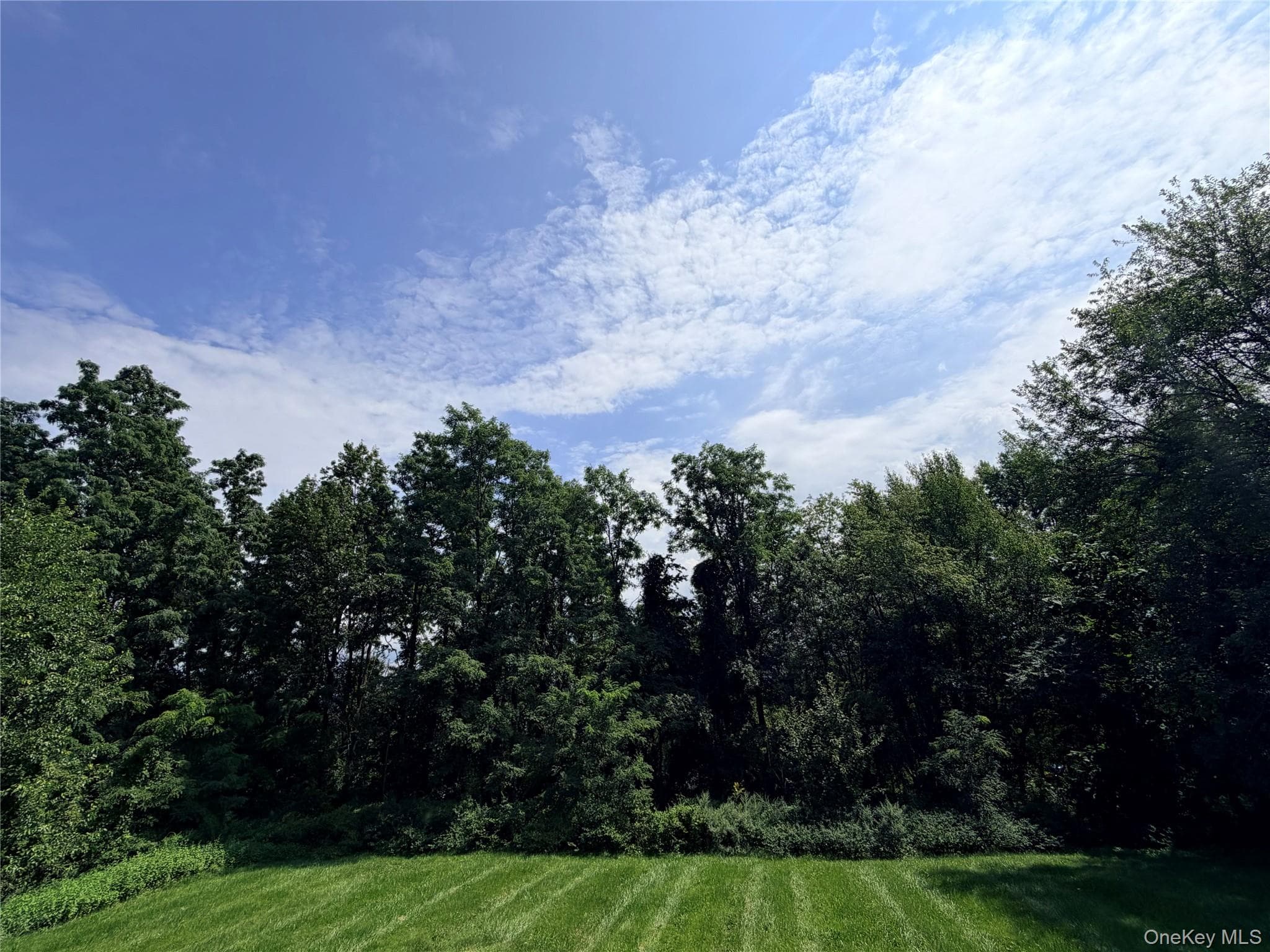 14 Clarks Lane thumbnail 37
