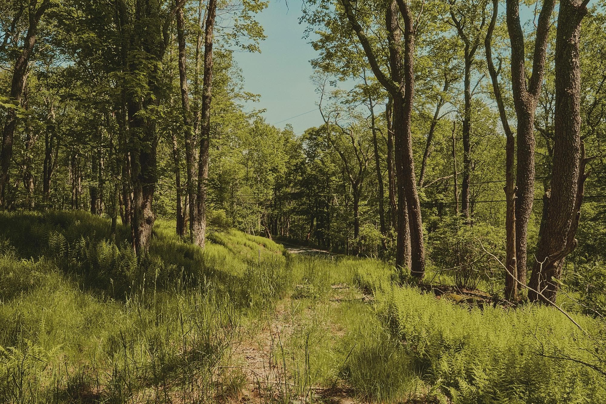00 Benton Hollow RD thumbnail 6