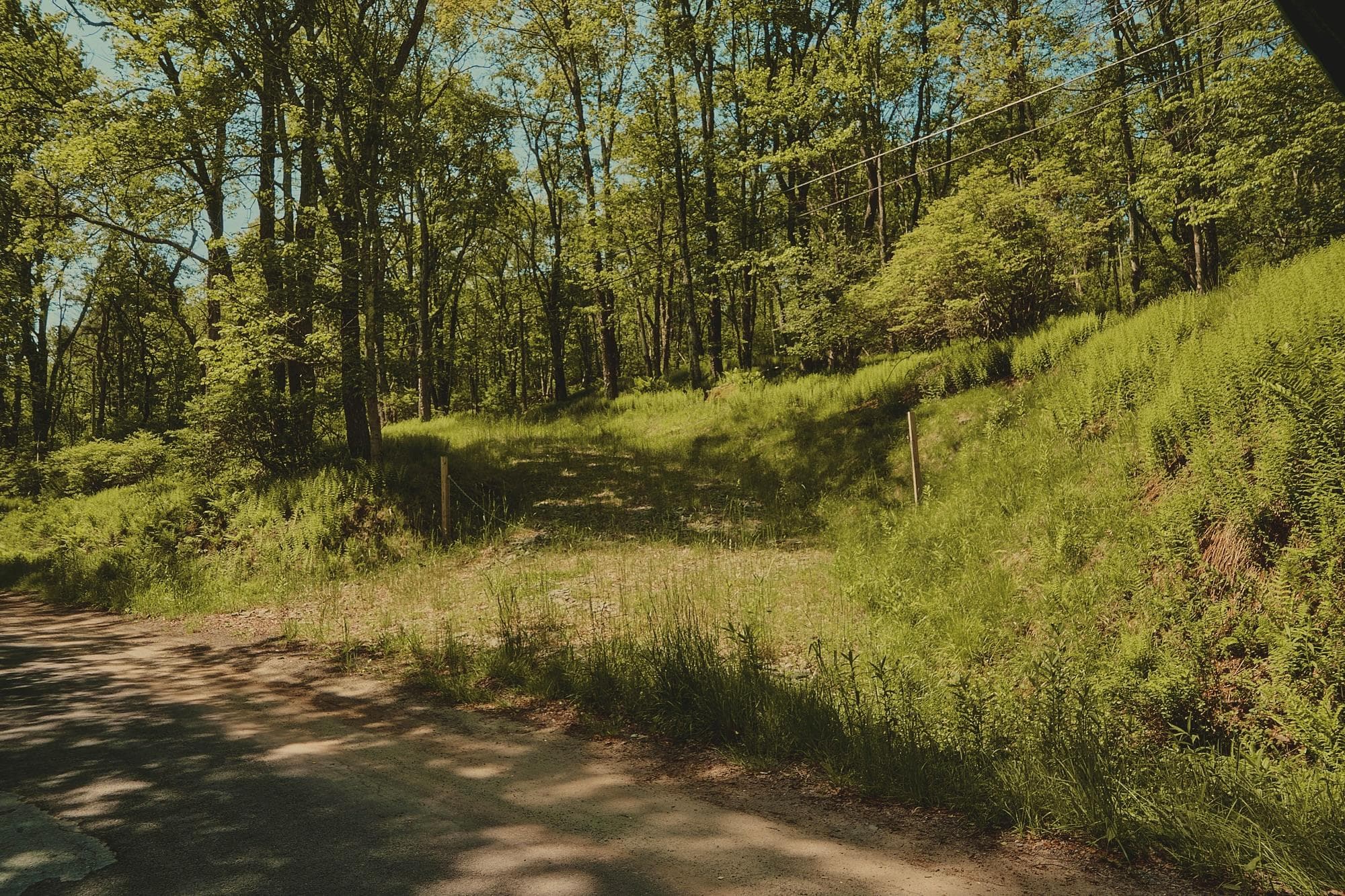 00 Benton Hollow RD thumbnail 12