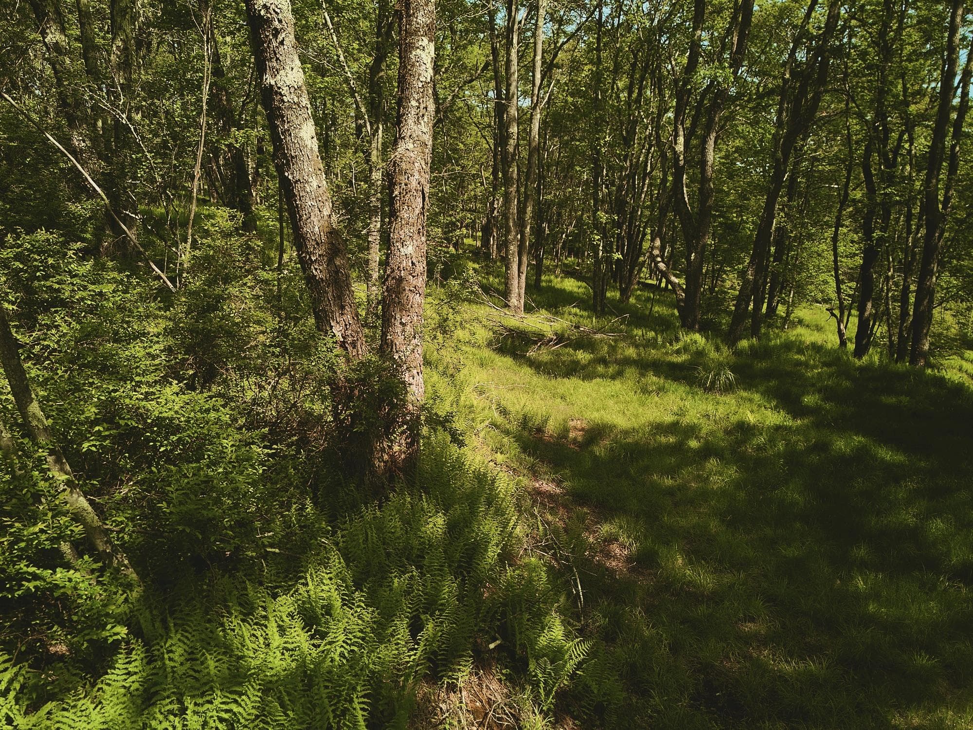 00 Benton Hollow RD thumbnail 5