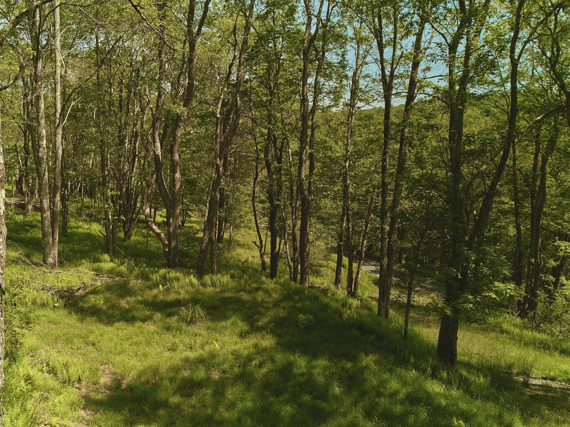 00 Benton Hollow RD thumbnail 10