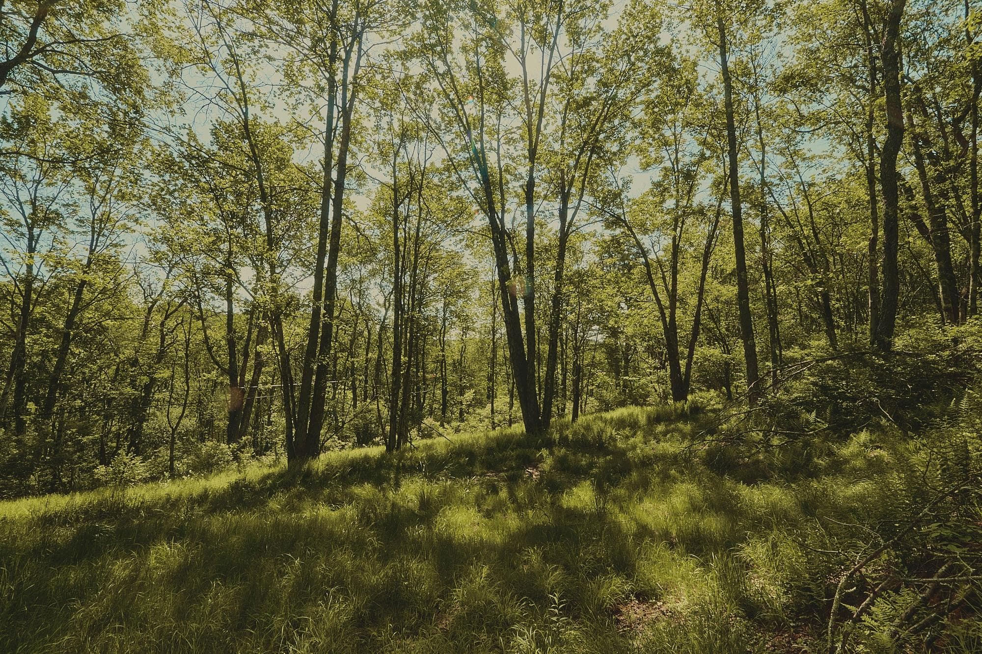 00 Benton Hollow RD, Liberty