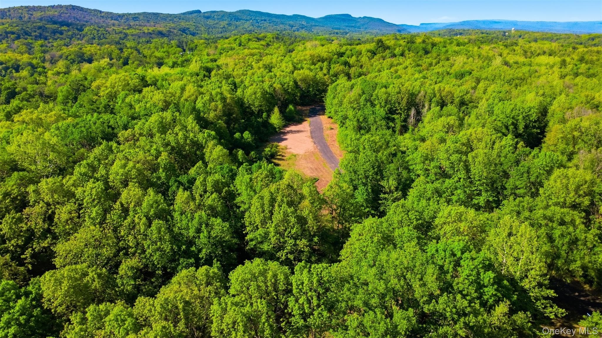 238 Bruceville Road thumbnail 9