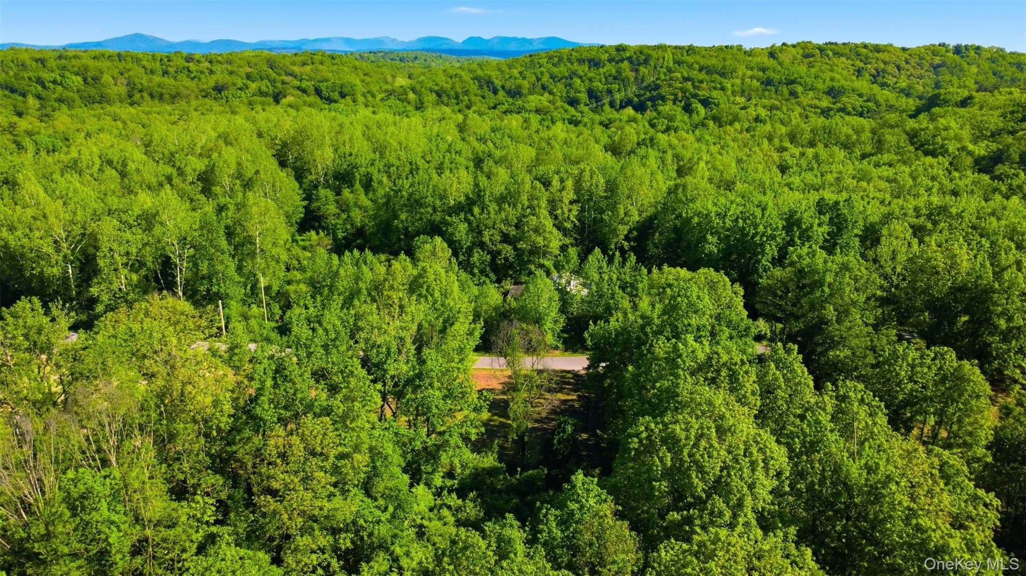 238 Bruceville Road thumbnail 5