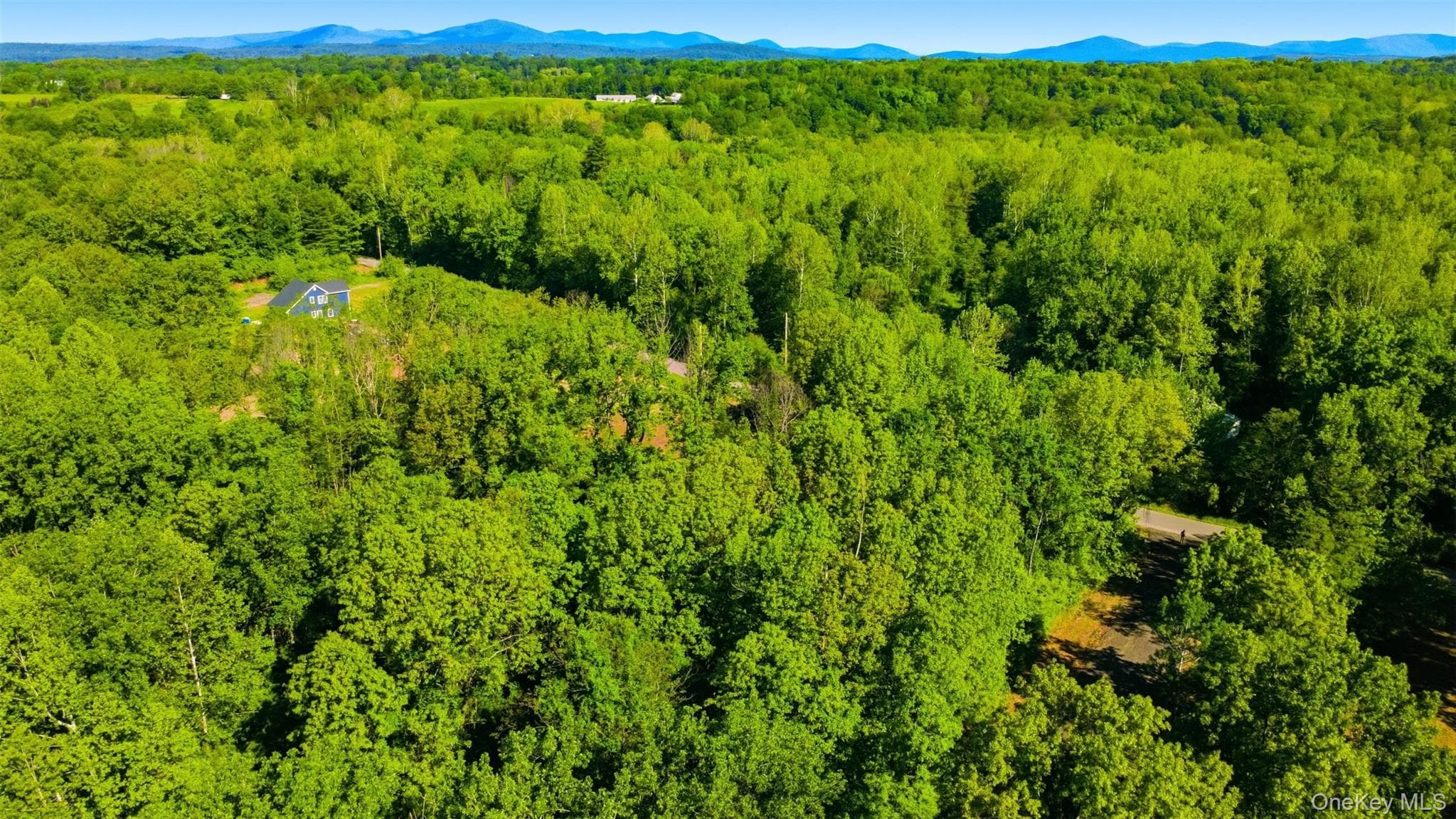 238 Bruceville Road thumbnail 4