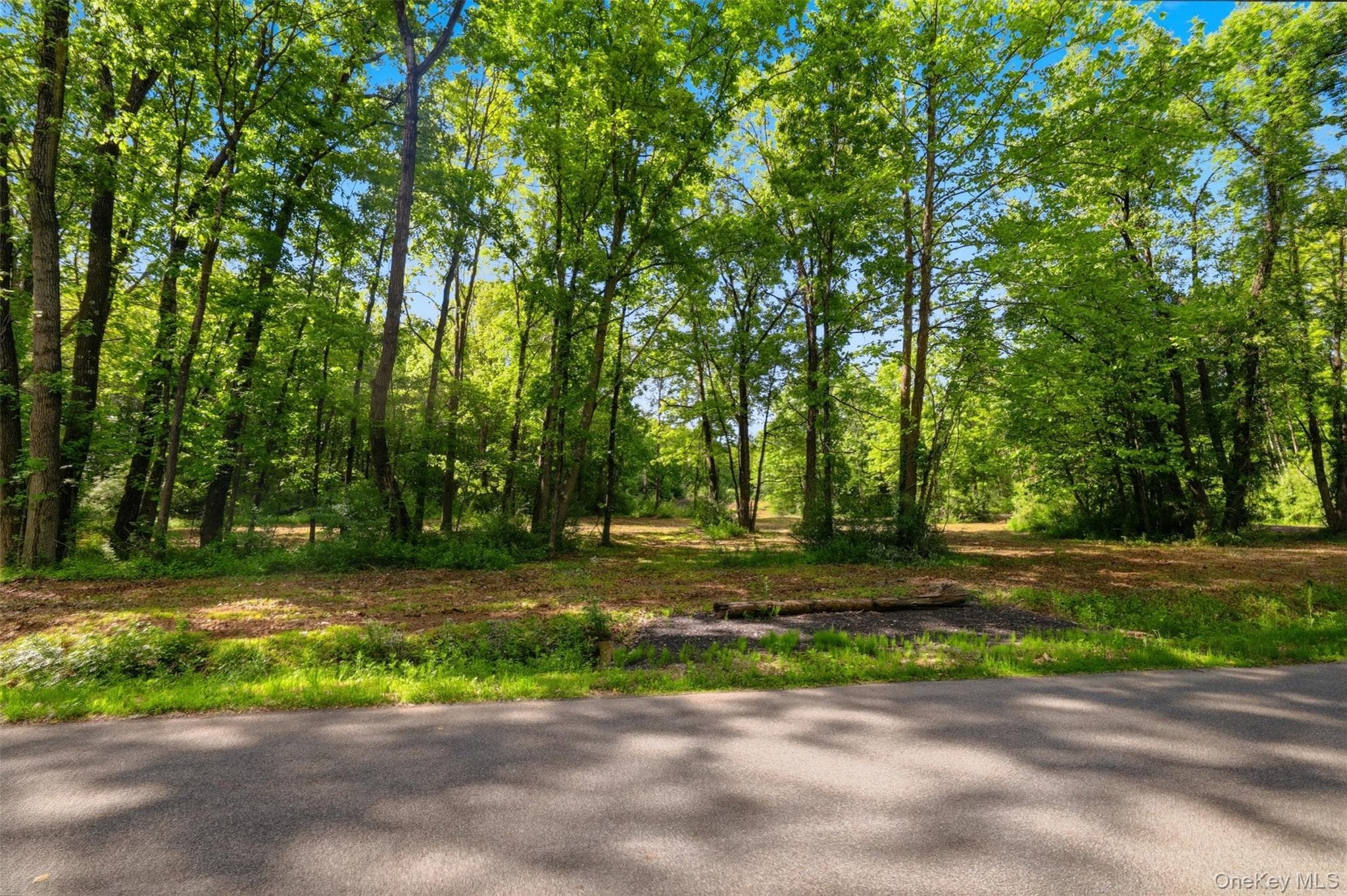 238 Bruceville Road thumbnail 14