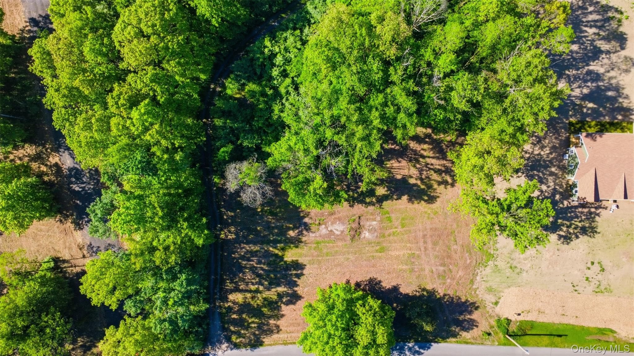238 Bruceville Road thumbnail 7