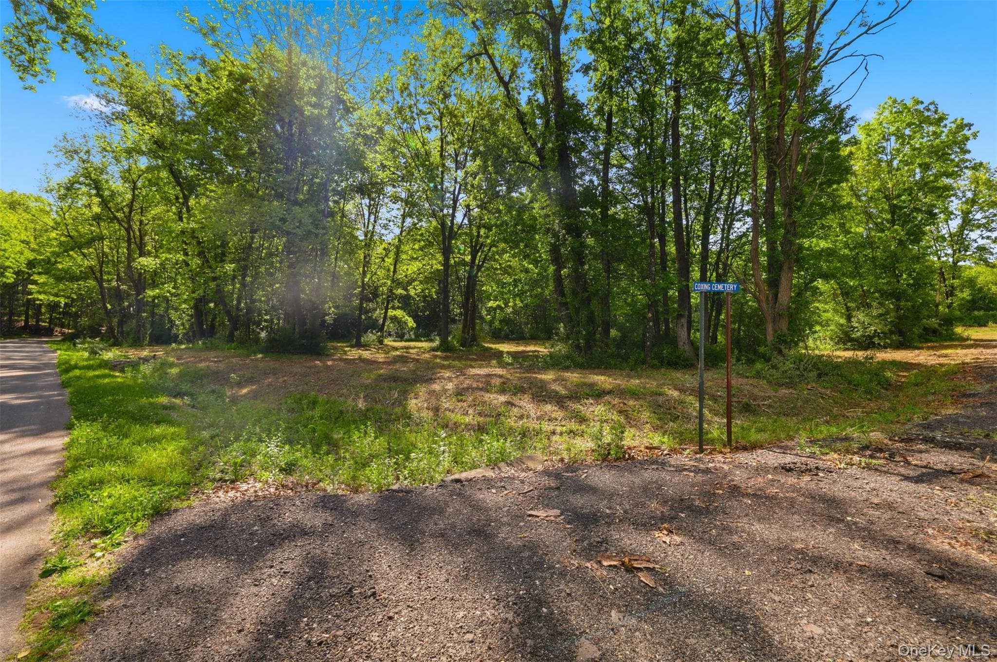 238 Bruceville Road thumbnail 13