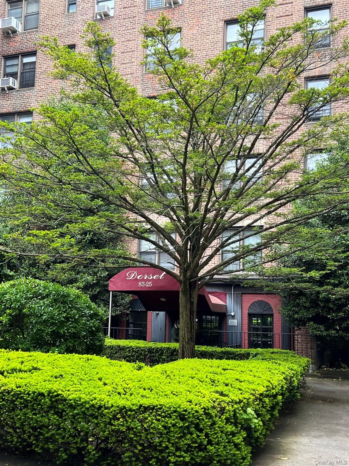 8325 98th Street Unit: 5P thumbnail 3