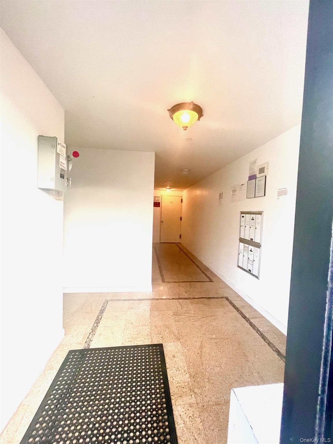 11232 38th Avenue Unit: 1B thumbnail 3