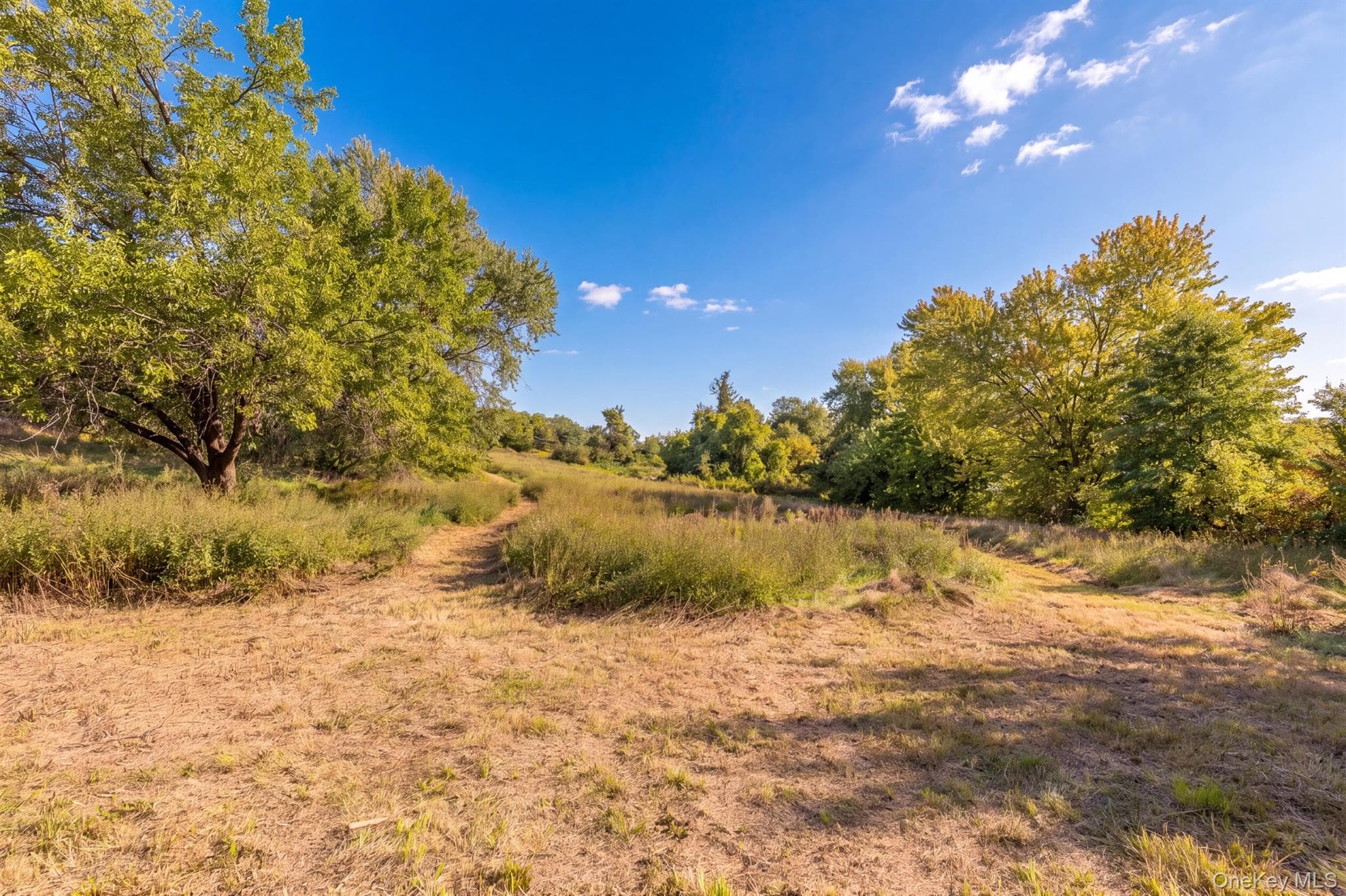 250 Sawkill Road thumbnail 41
