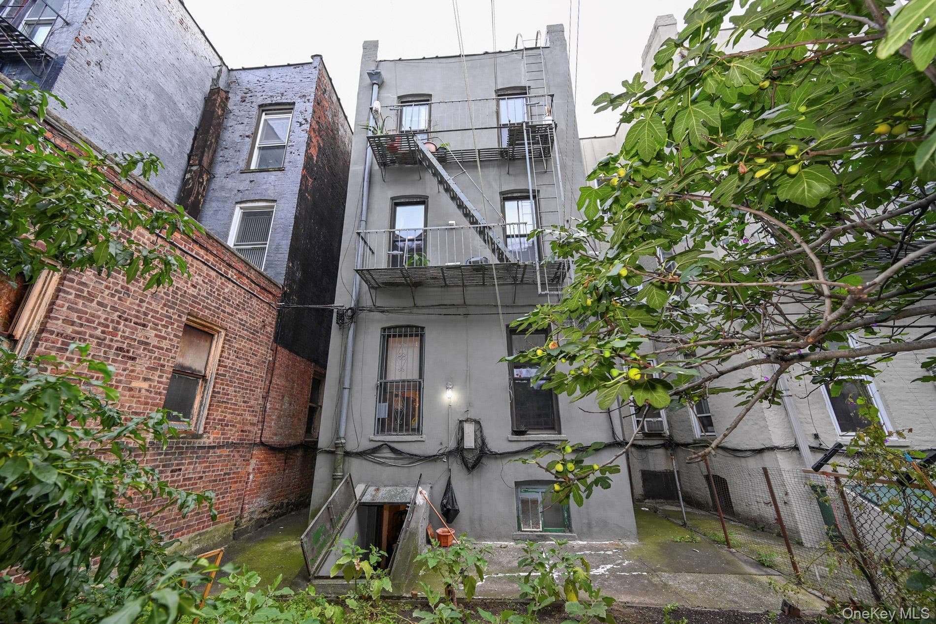 967 Seneca Avenue thumbnail 20