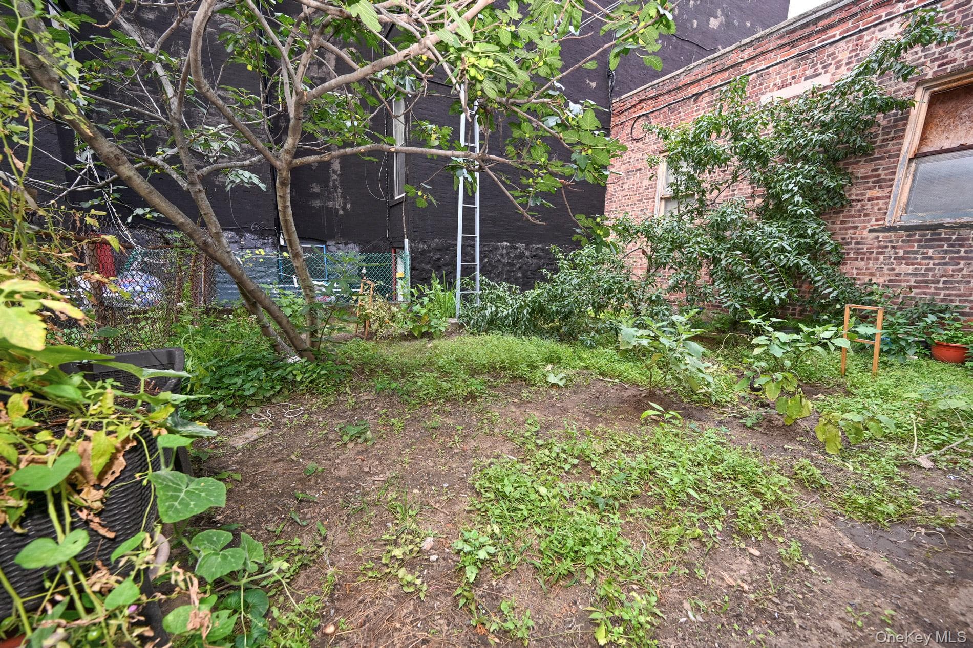967 Seneca Avenue thumbnail 18