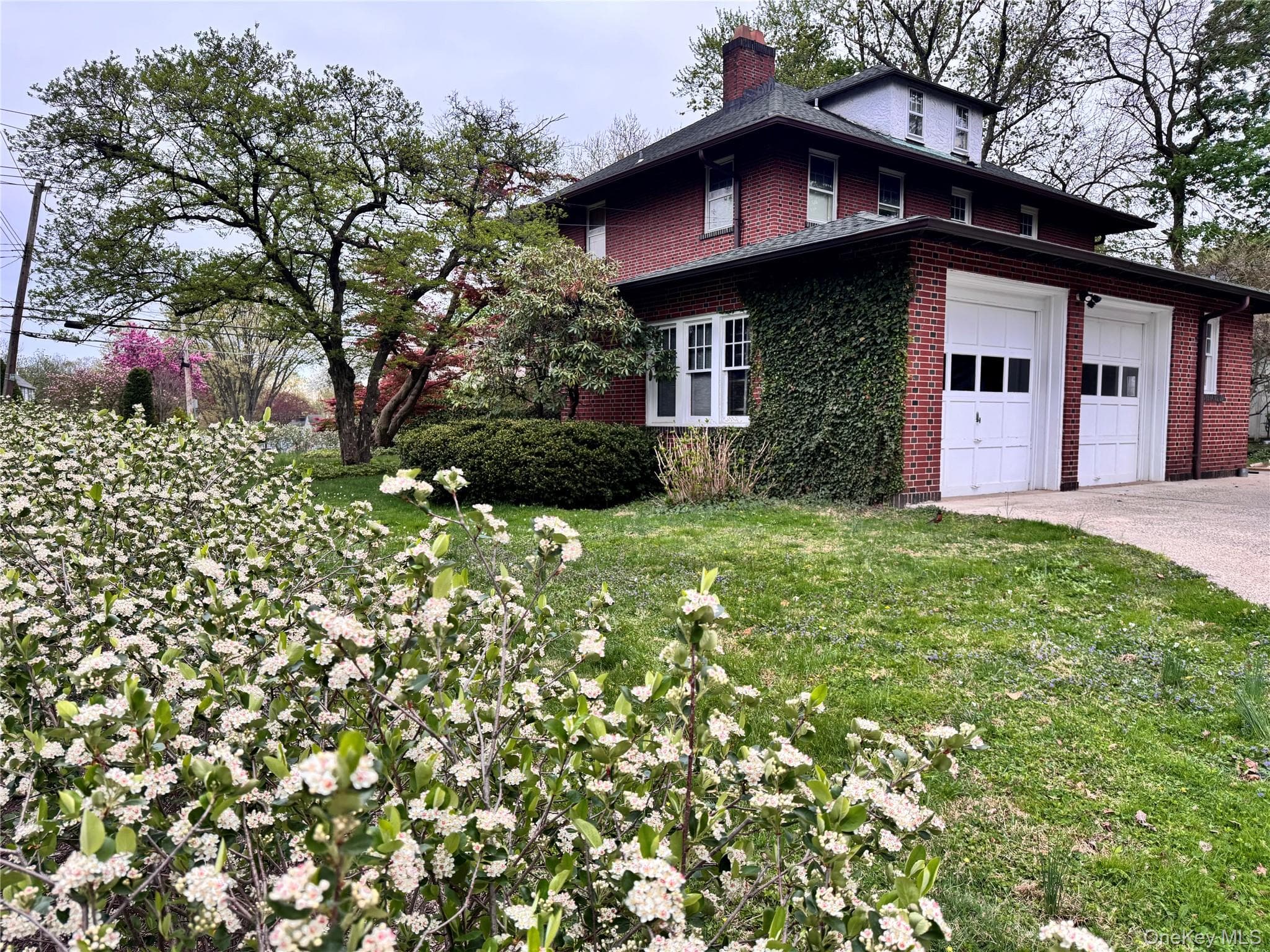 219 White Plains Road thumbnail 2