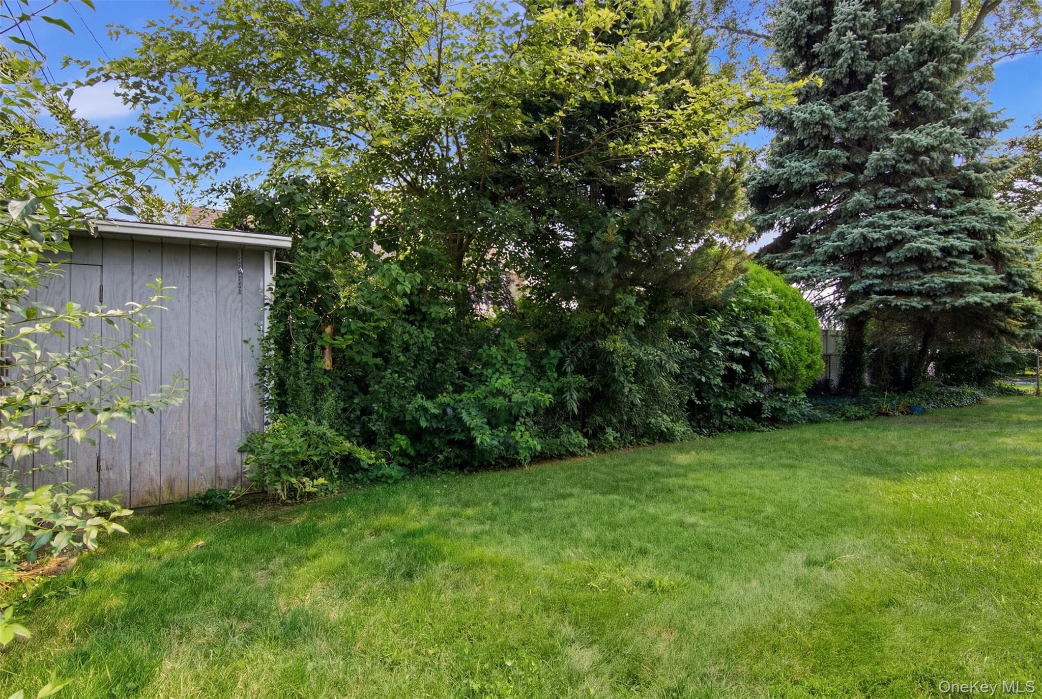 118 Magnolia Street thumbnail 29