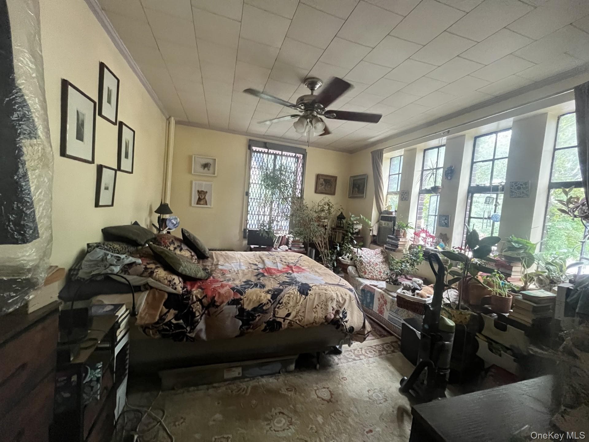 116 Pinehurst Avenue Unit: C21 thumbnail 10