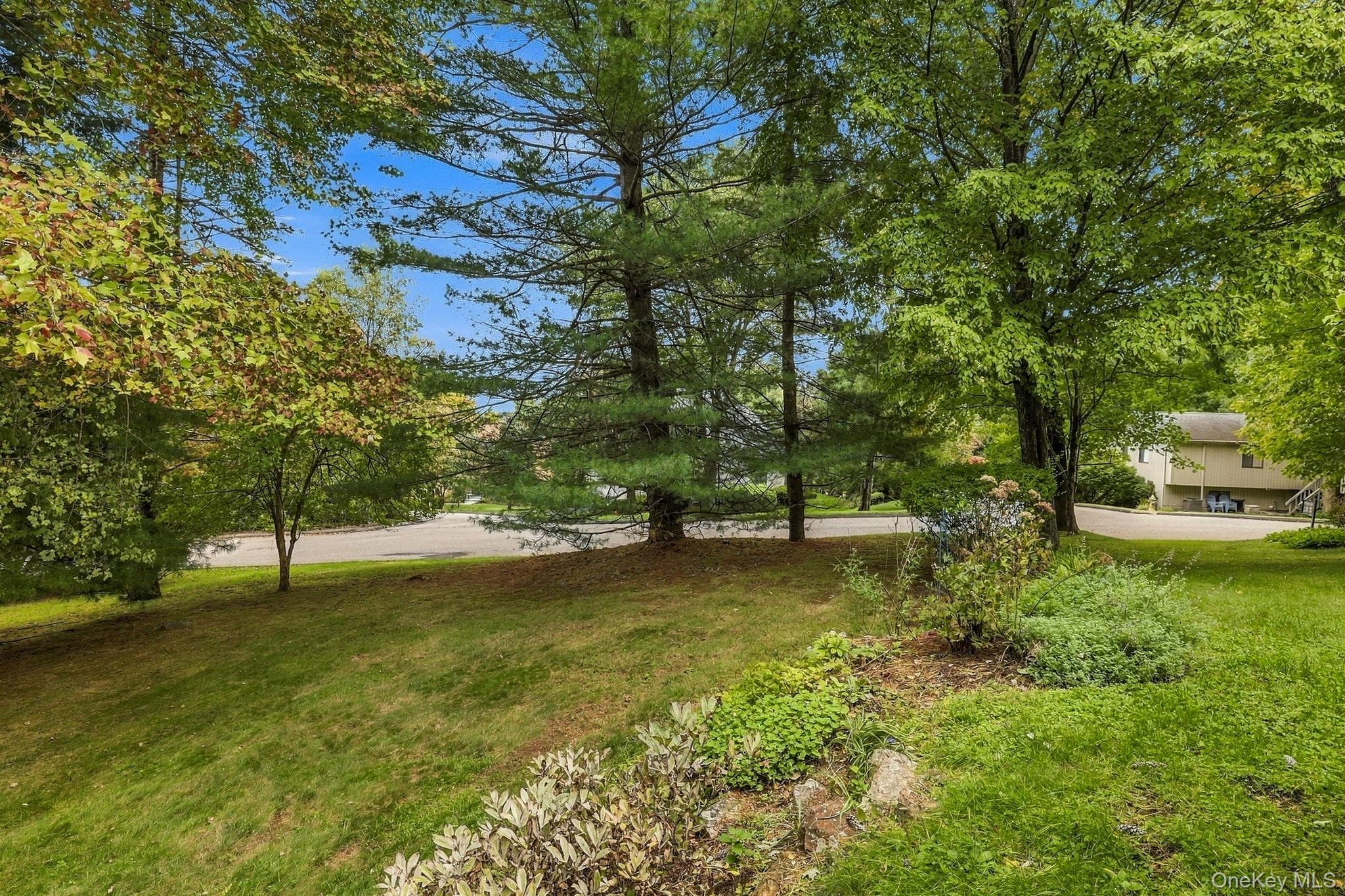 92 Mitchell Road thumbnail 33
