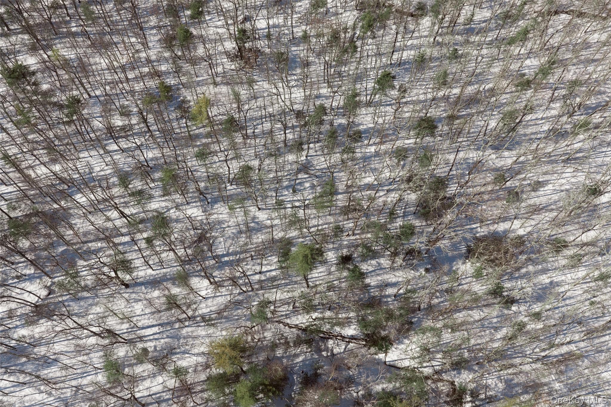 0 Dug Hill Road thumbnail 5