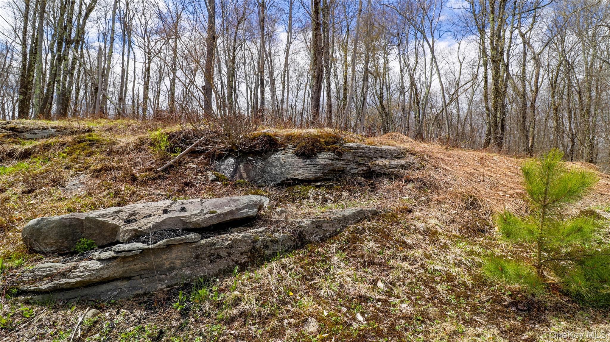 1029 Spring Brook Estates Road thumbnail 44