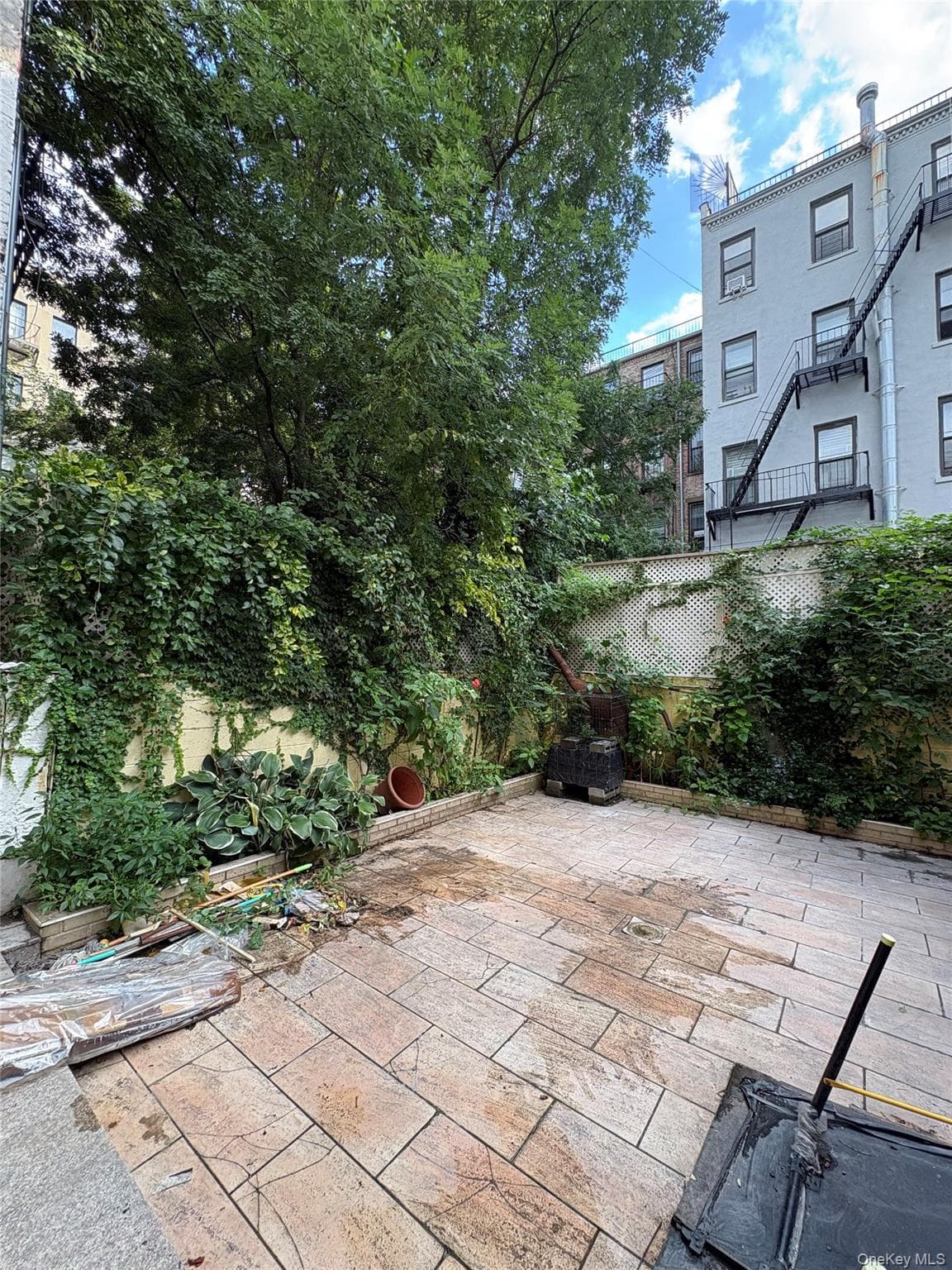 344 E 120th Street thumbnail 6