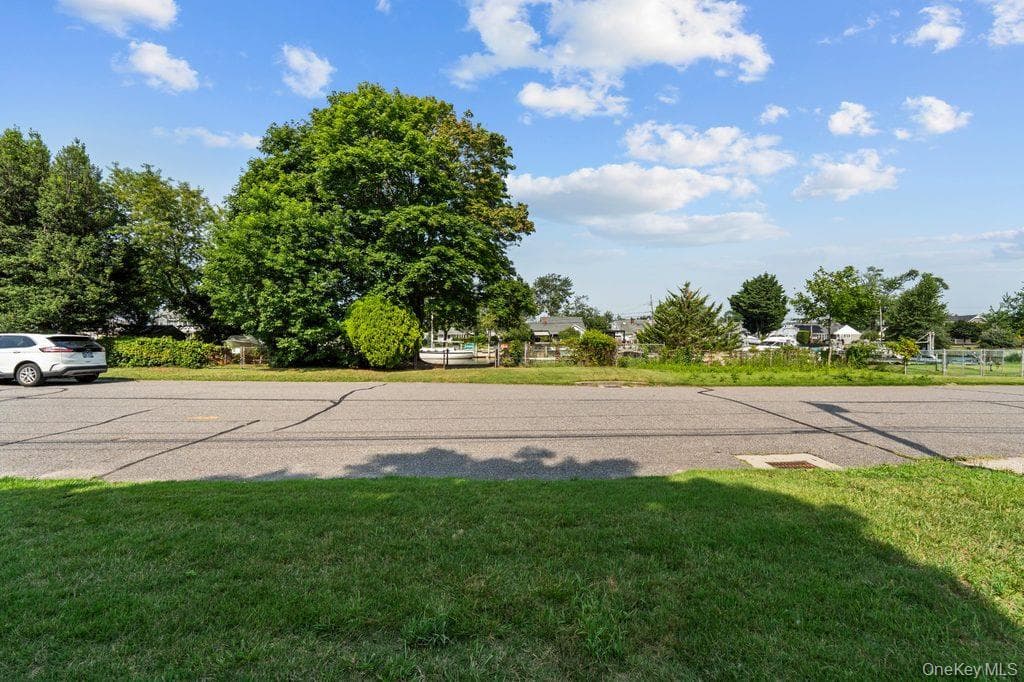 81 Wilson Avenue thumbnail 35