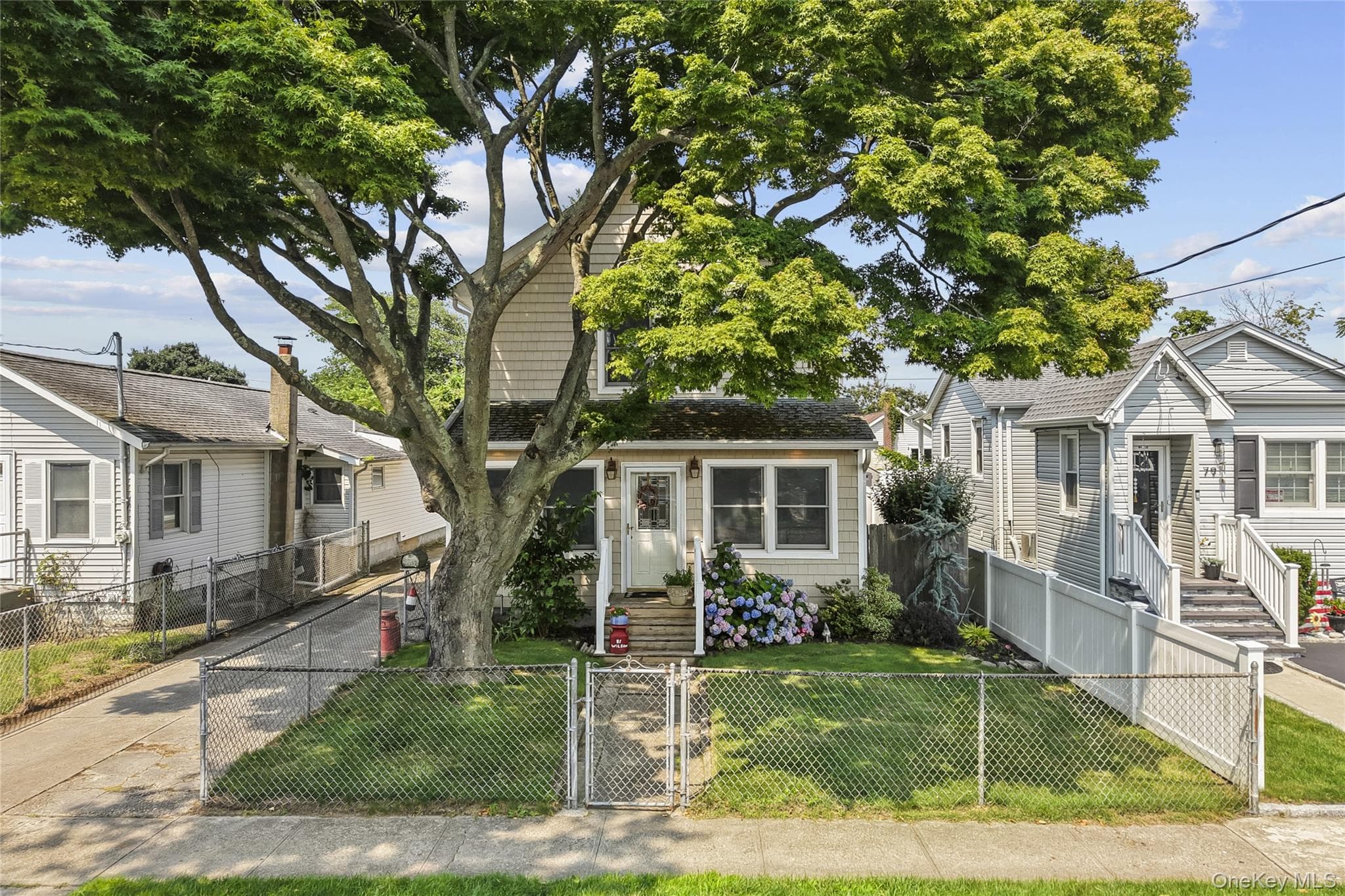 81 Wilson Avenue thumbnail 4