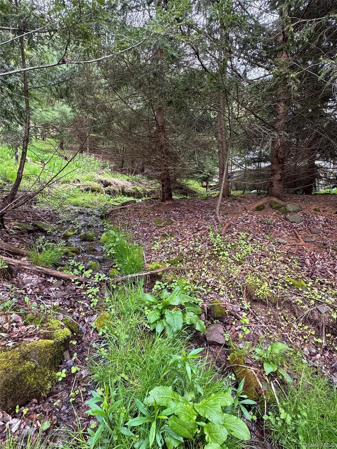 395 Federal Hill Rd 1 thumbnail 16