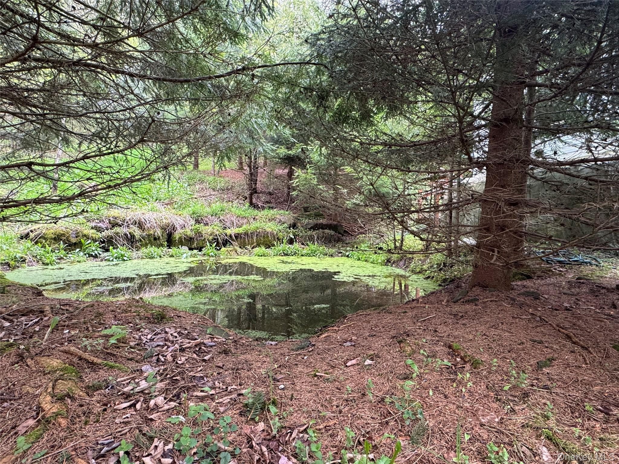 395 Federal Hill Rd 1 thumbnail 15