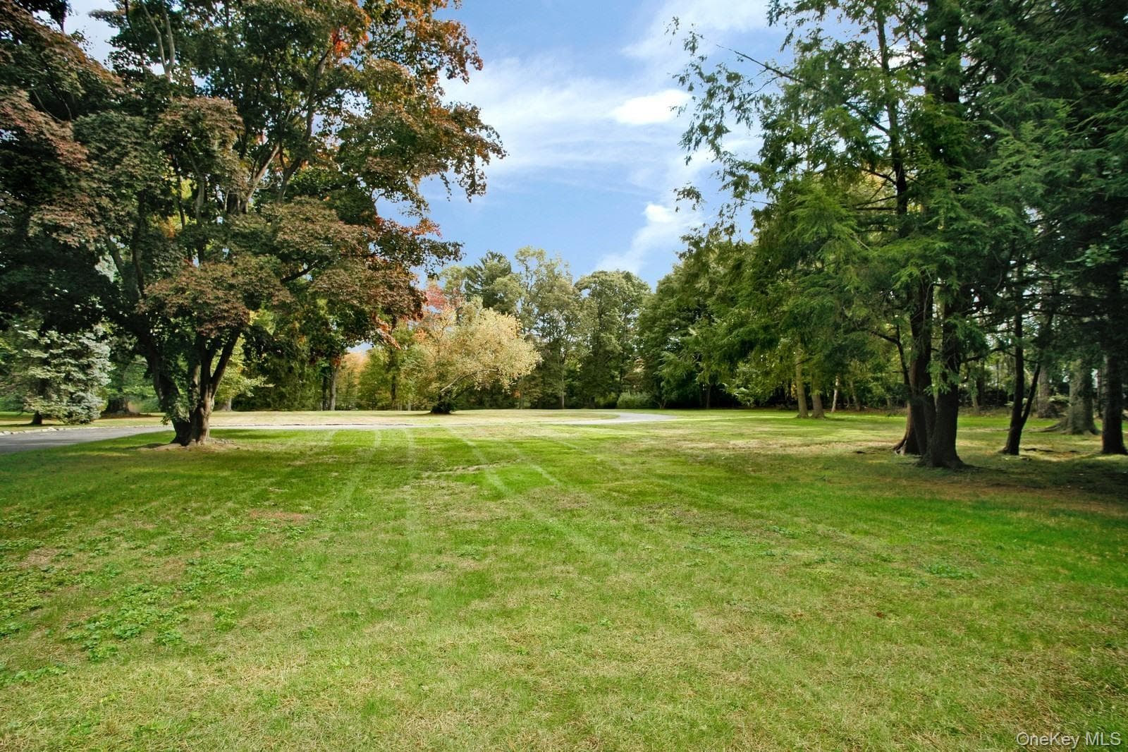 122 Lincoln Avenue, Purchase