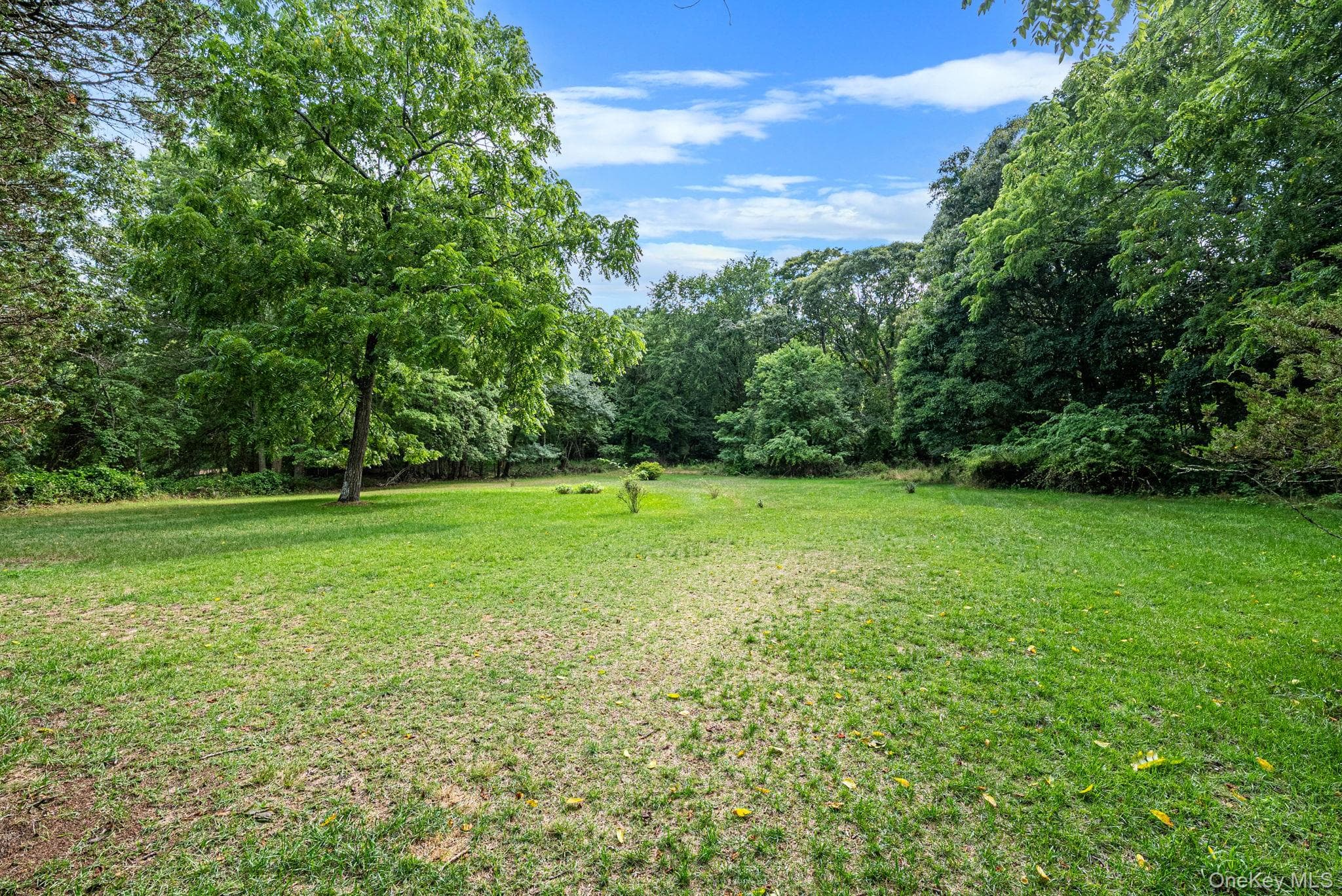 42 E Bartlett Road thumbnail 9