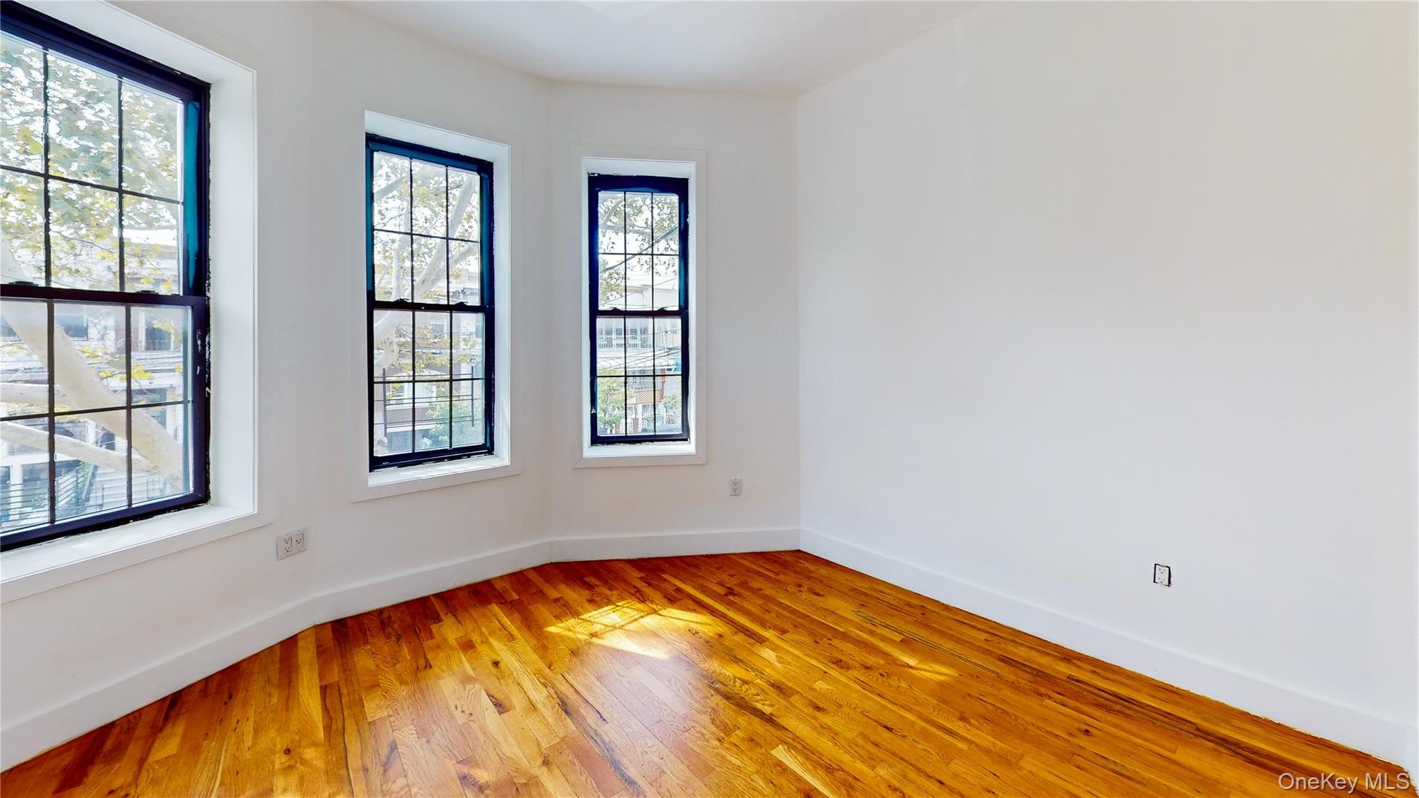 659 Georgia Avenue thumbnail 14