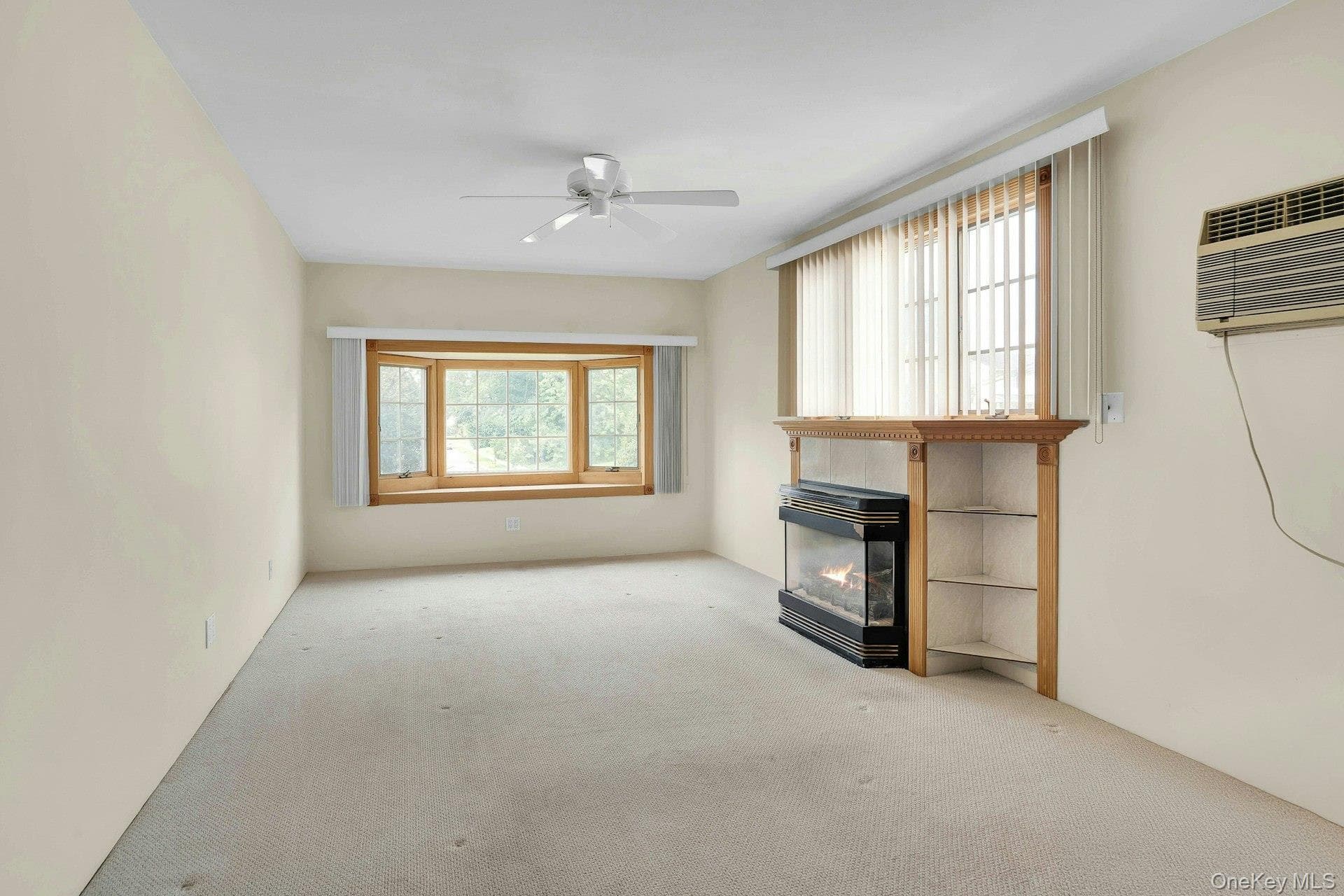 7 Tomkins Court thumbnail 25