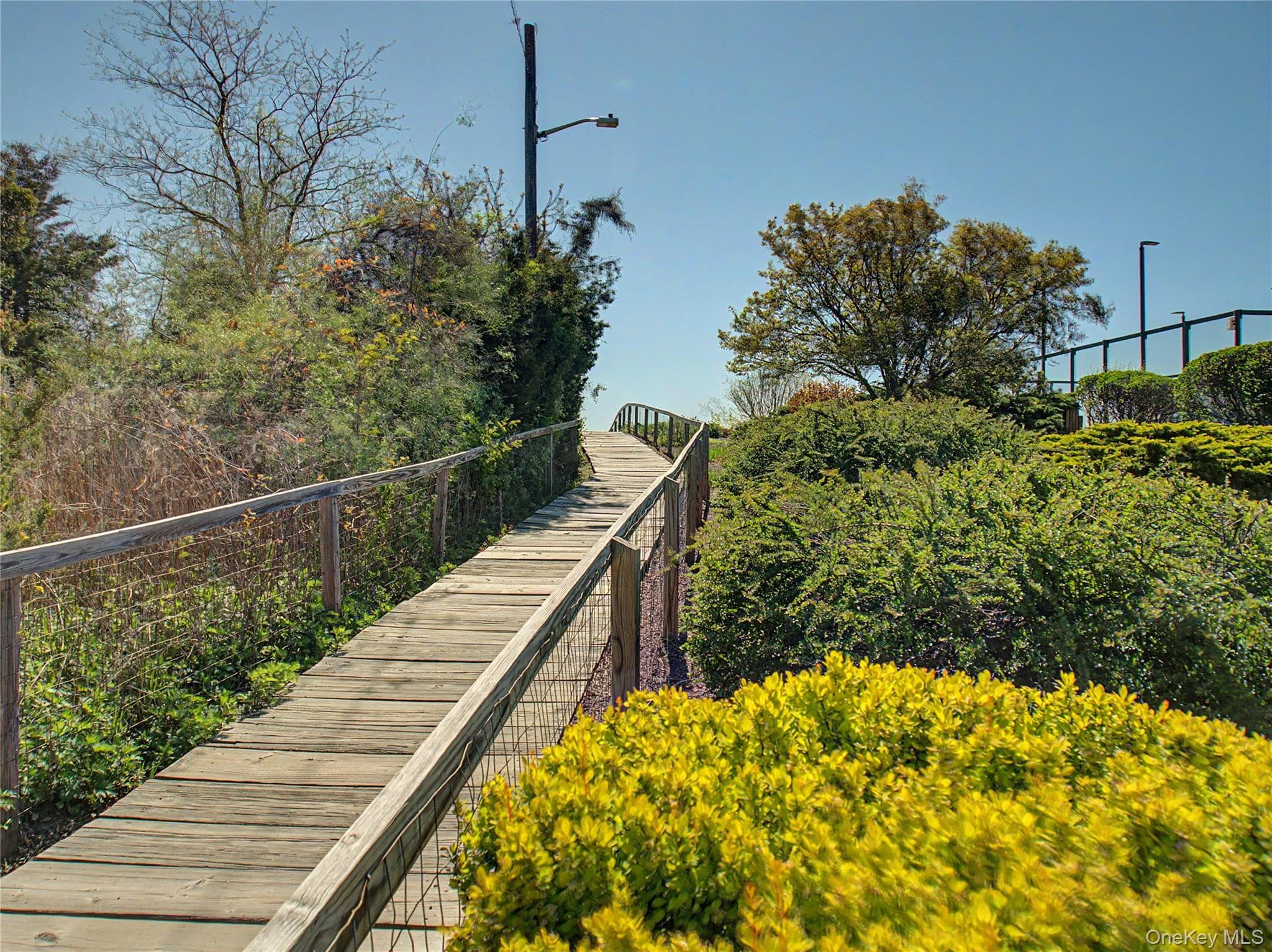 173 Puritan Road thumbnail 20