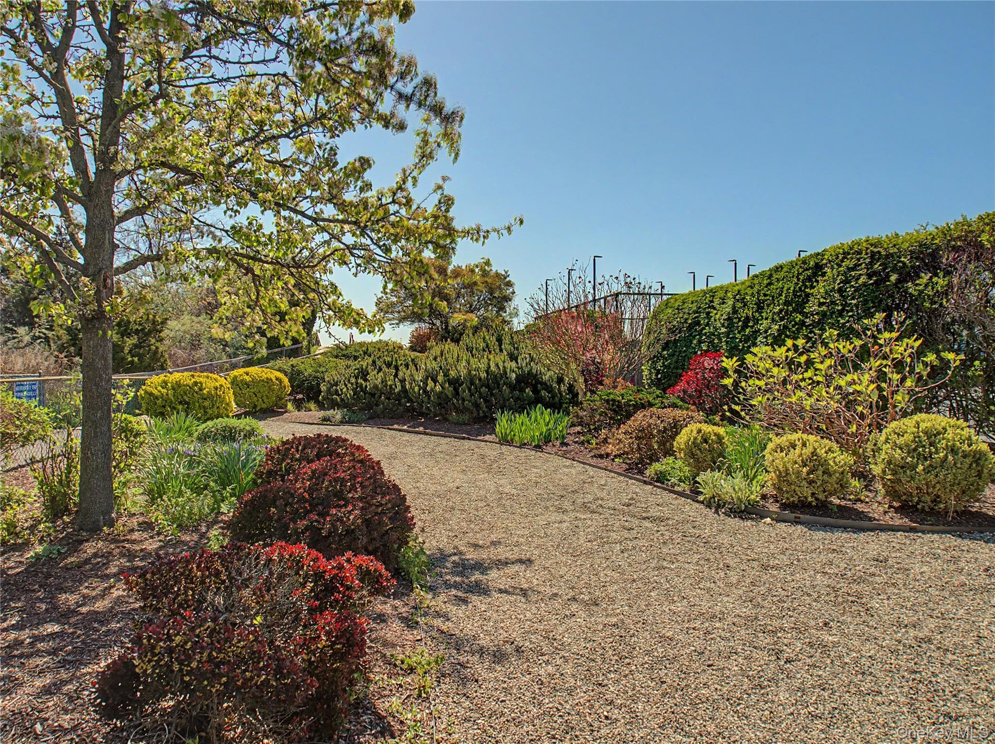 173 Puritan Road thumbnail 19